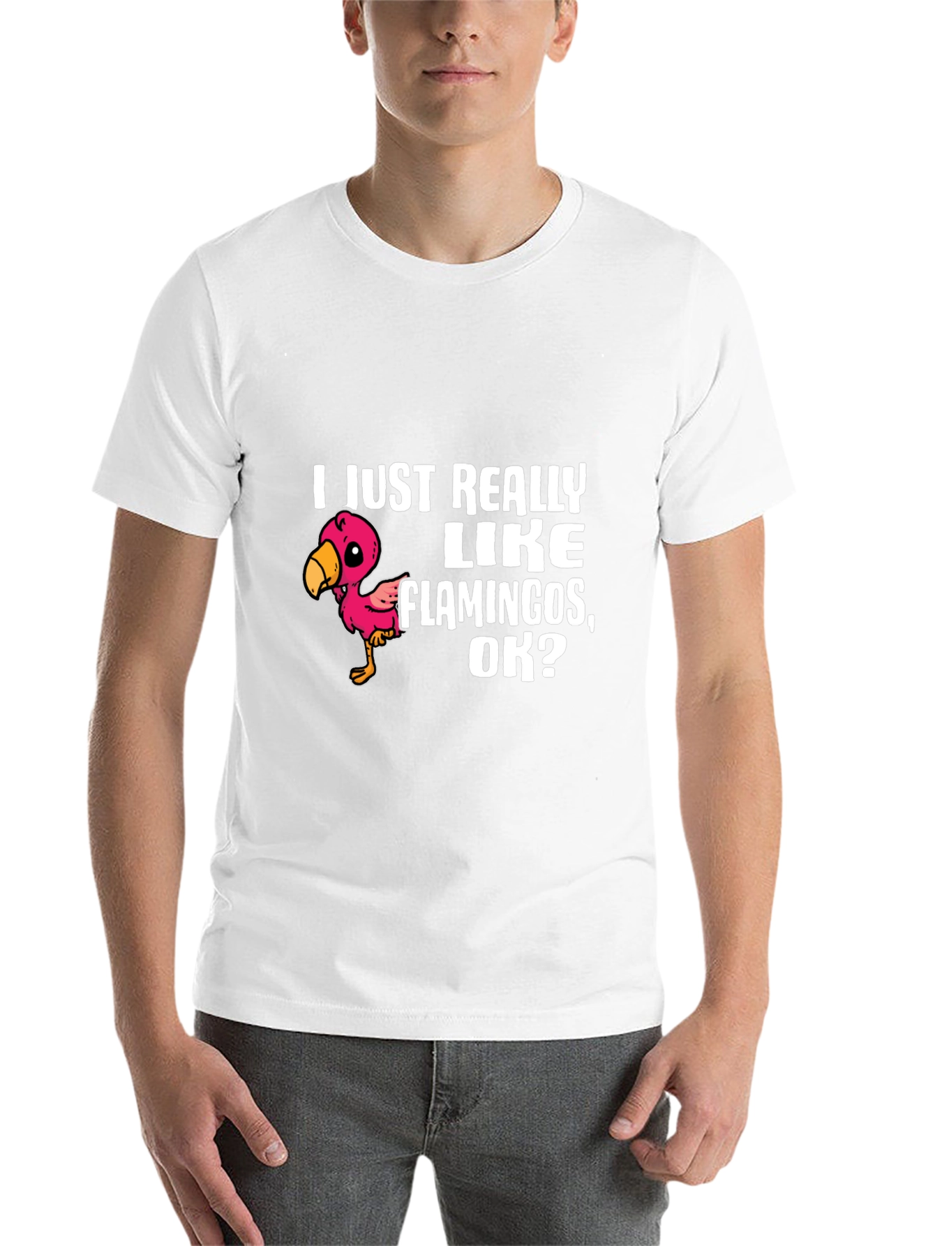 Black Flamingo Lover T-Shirt - I Just Really Like Flamingos, OK? view 14