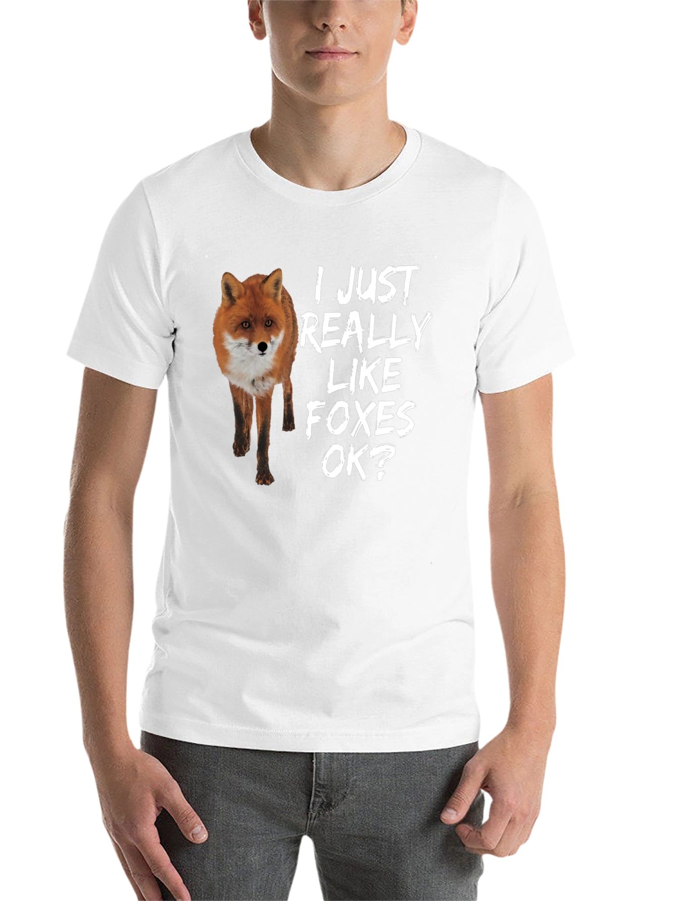 Black I Just Really Like Foxes OK? T-Shirt view 14