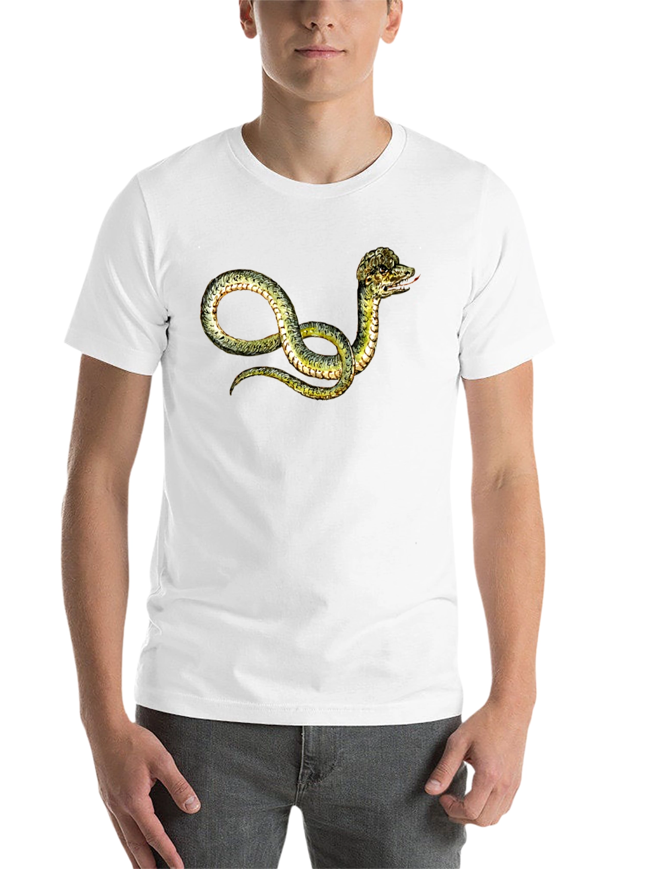 Black Snake Graphic T-Shirt - Unique Serpent Design view 14