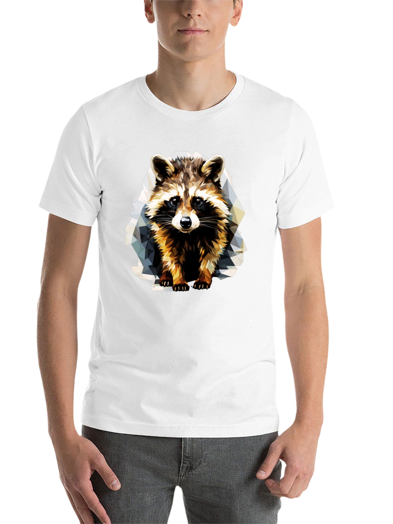 Black Geometric Raccoon Graphic T-Shirt view 14