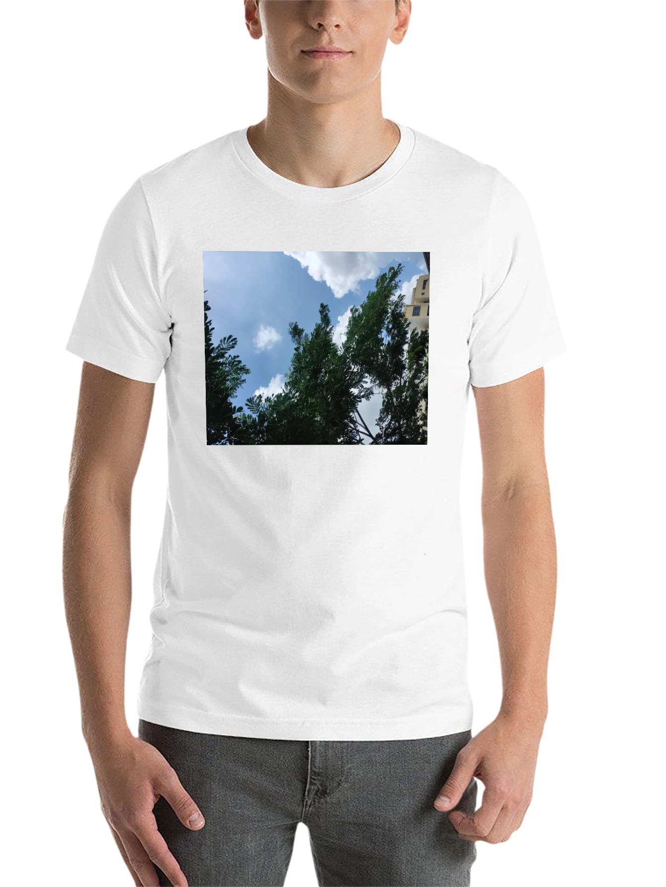 Black Sky Through Trees Graphic Tee - Nature Lover's Shirt view 14