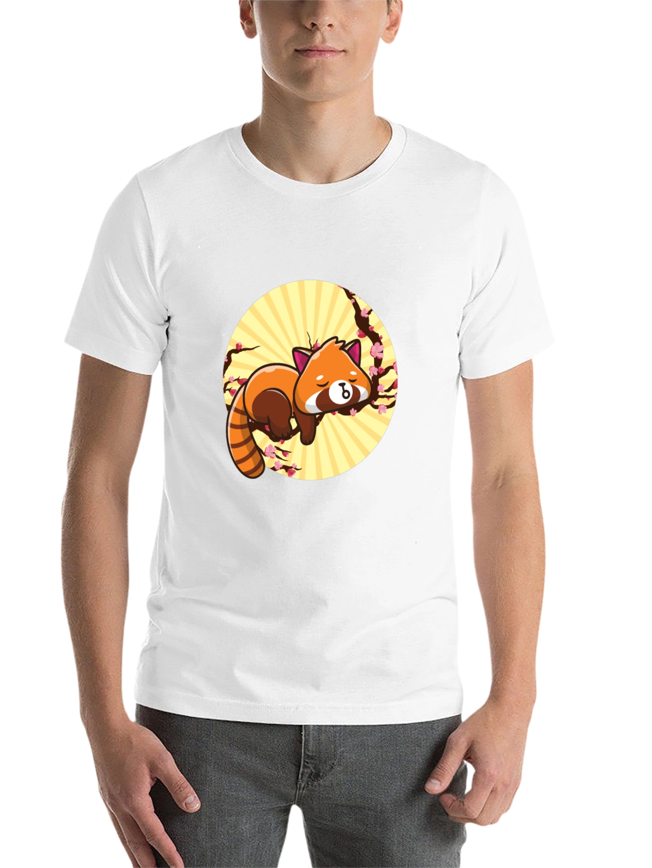 Black Cute Red Panda T-Shirt - Relaxed Graphic Tee view 14