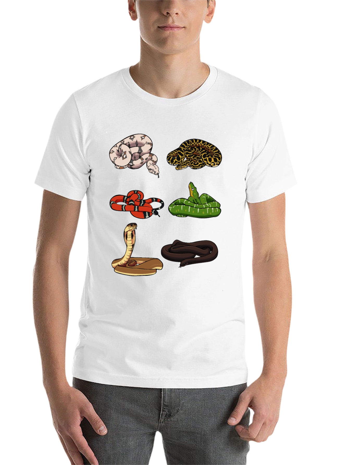 Black Snake Variety Graphic Tee - Reptile Lover Shirt view 14