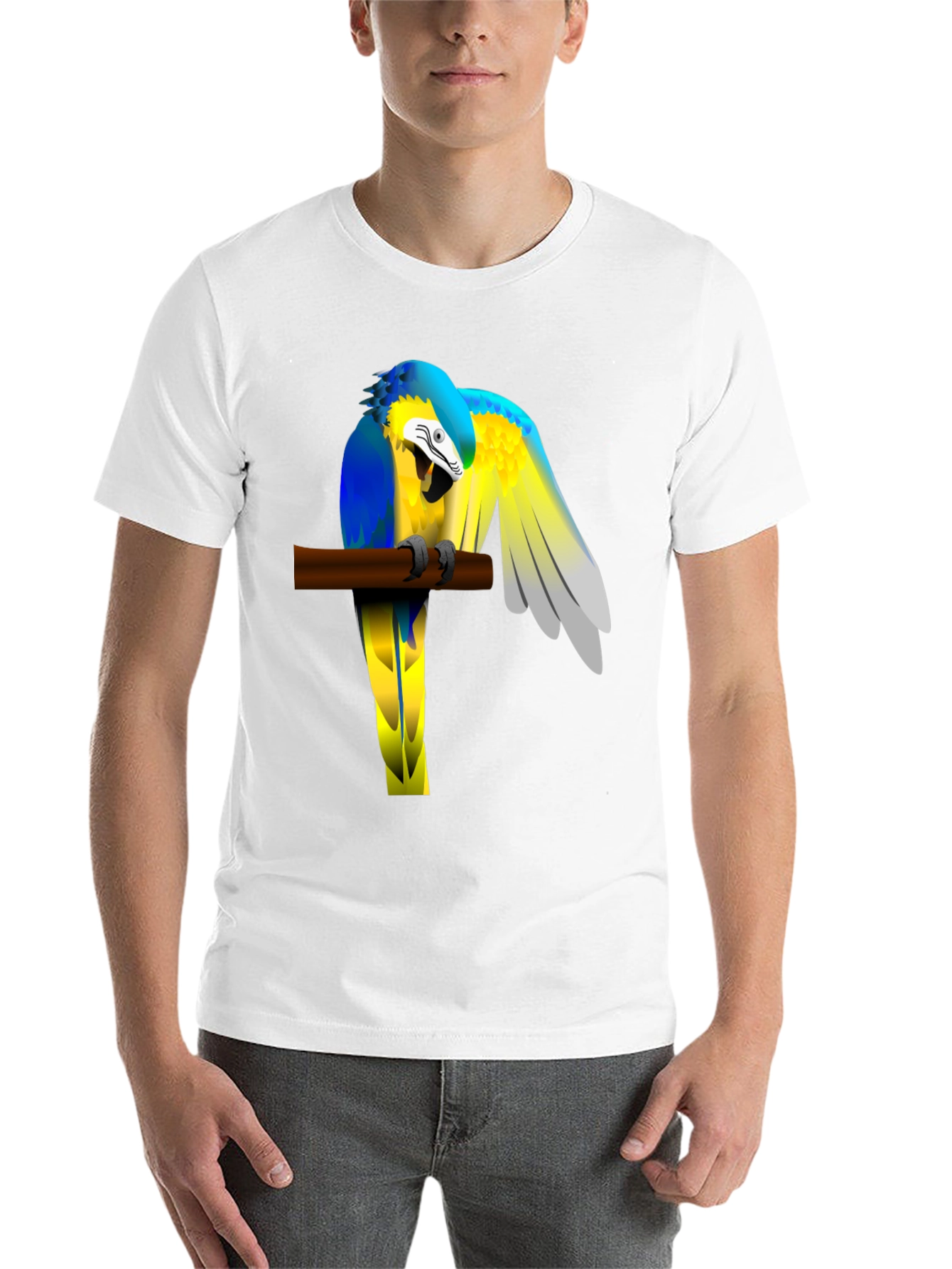 Black Parrot Perch Graphic Tee - Unique Bird Lover T-Shirt view 14