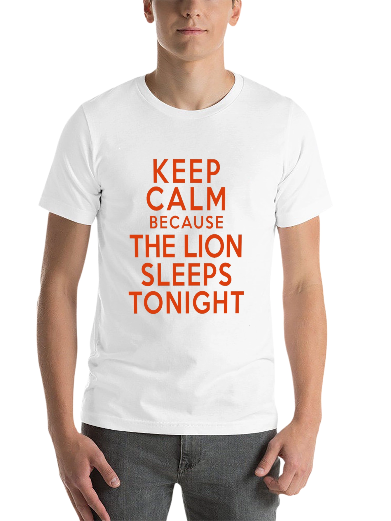 Keep Calm Lion Sleeps Tonight T-Shirt - 14