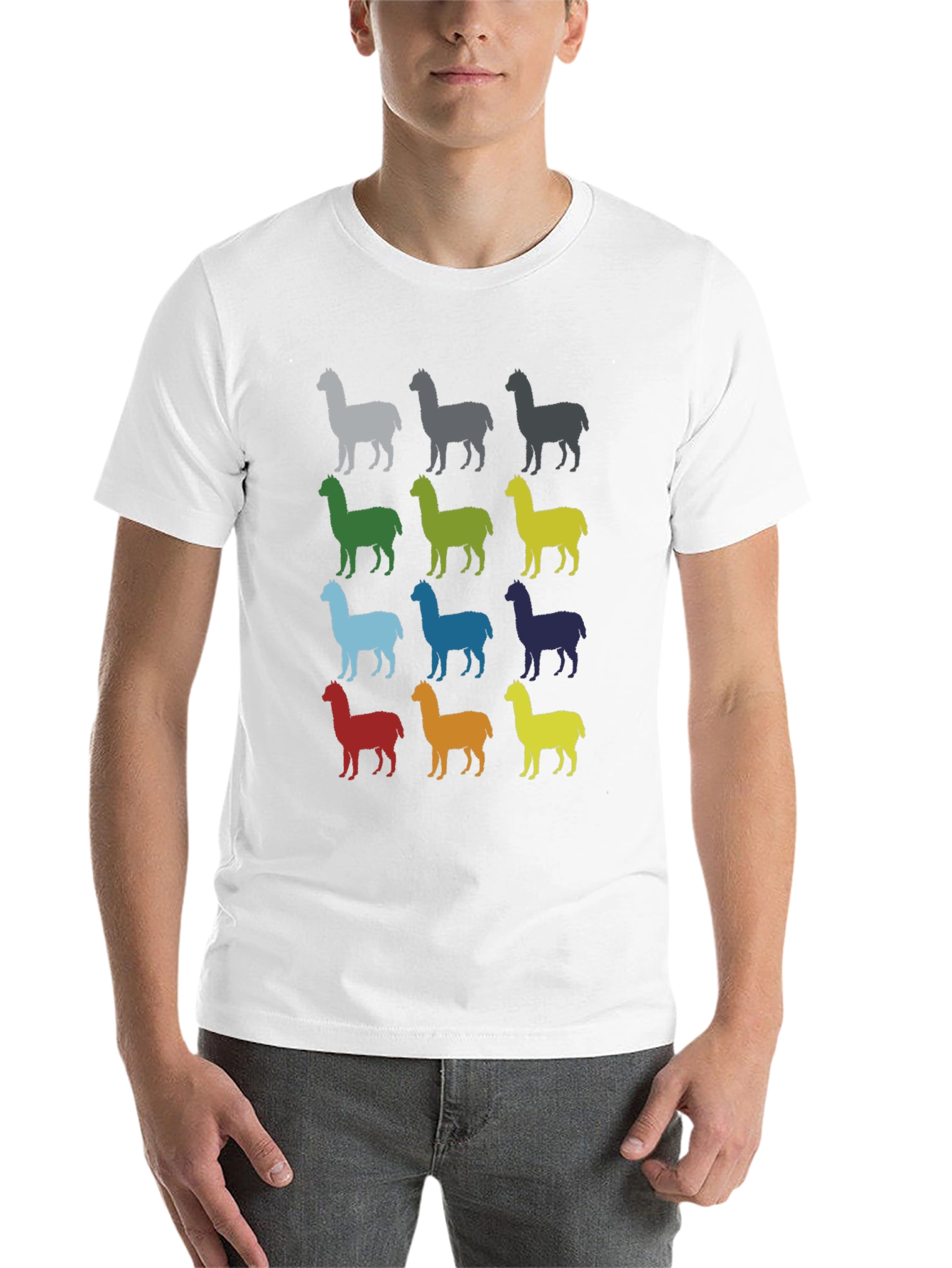 Black Colorful Alpaca Graphic T-Shirt view 14