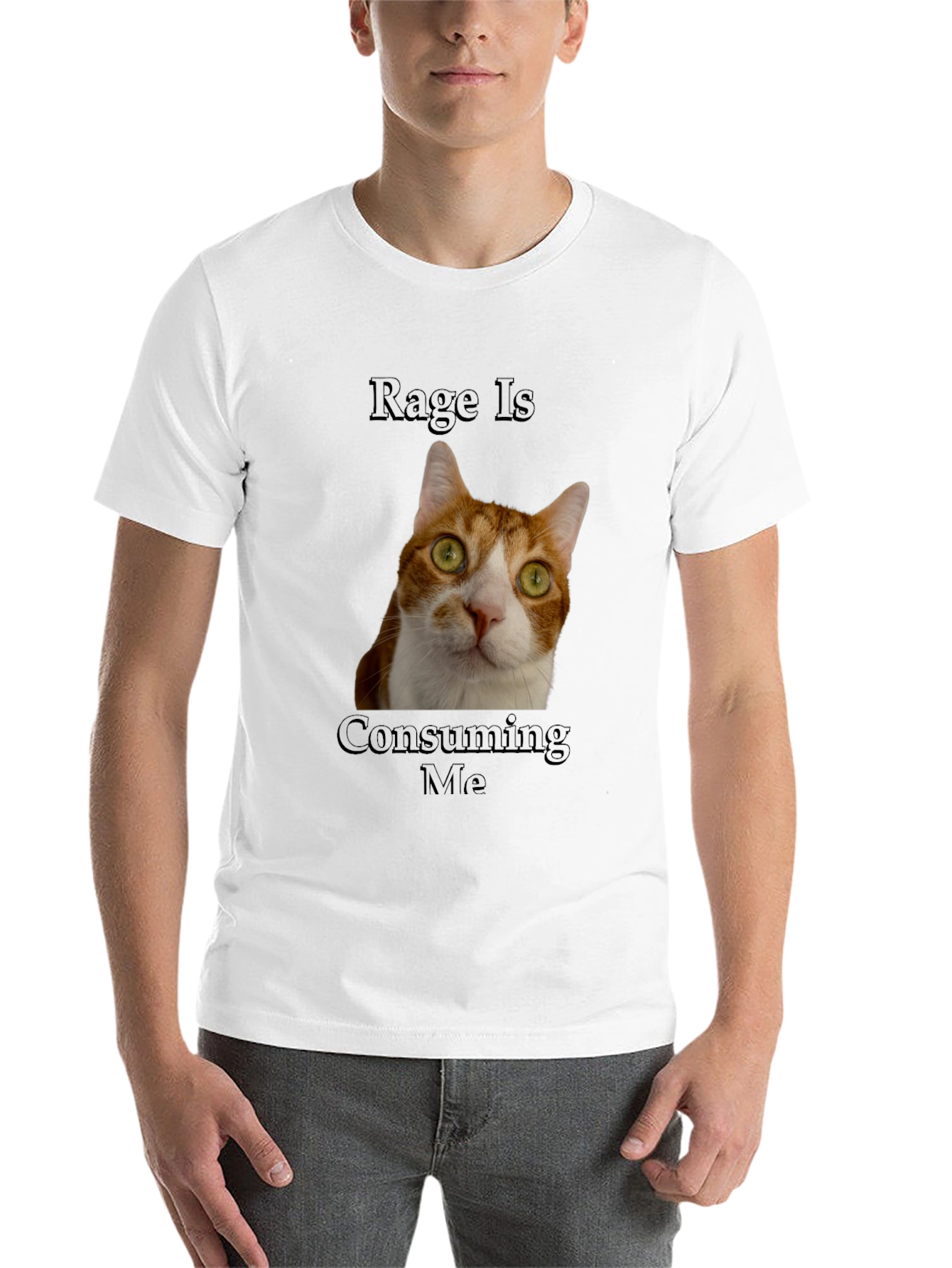Black Rage Is Consuming Me Cat T-Shirt - Funny Graphic Tee view 14