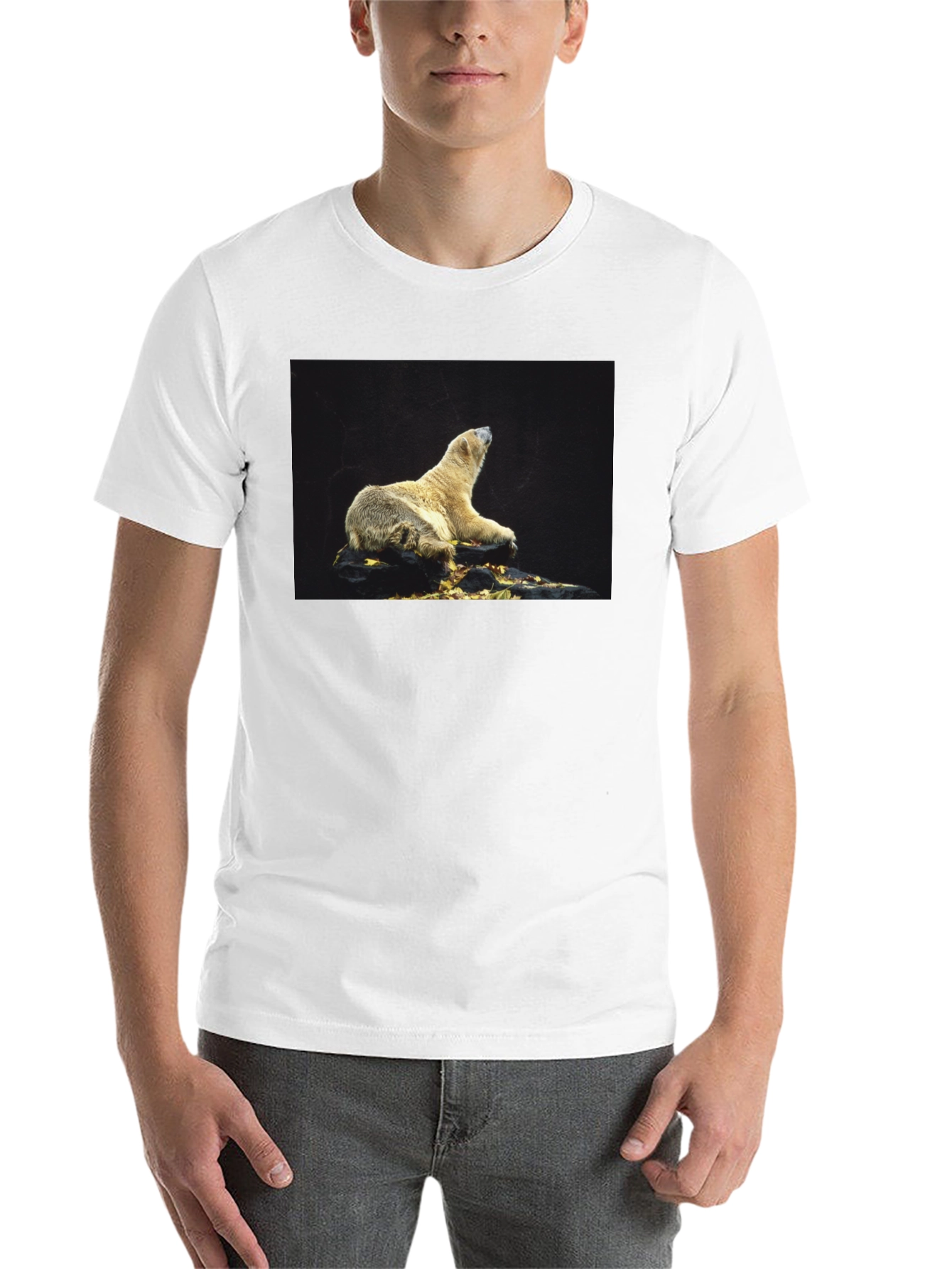 Black Polar Bear Graphic Black T-Shirt view 14