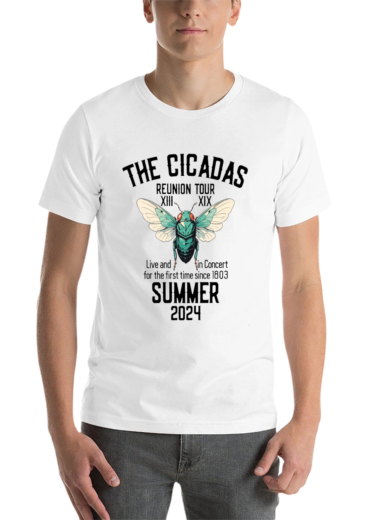 The Cicadas Reunion Tour 2024 T-Shirt - 14