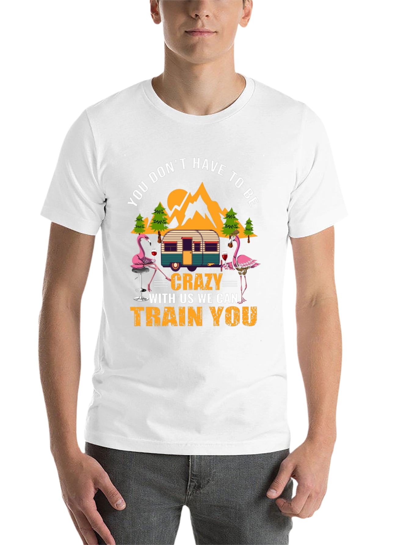Black Flamingo Camper T-Shirt: You Don't Have to Be Crazy! view 14