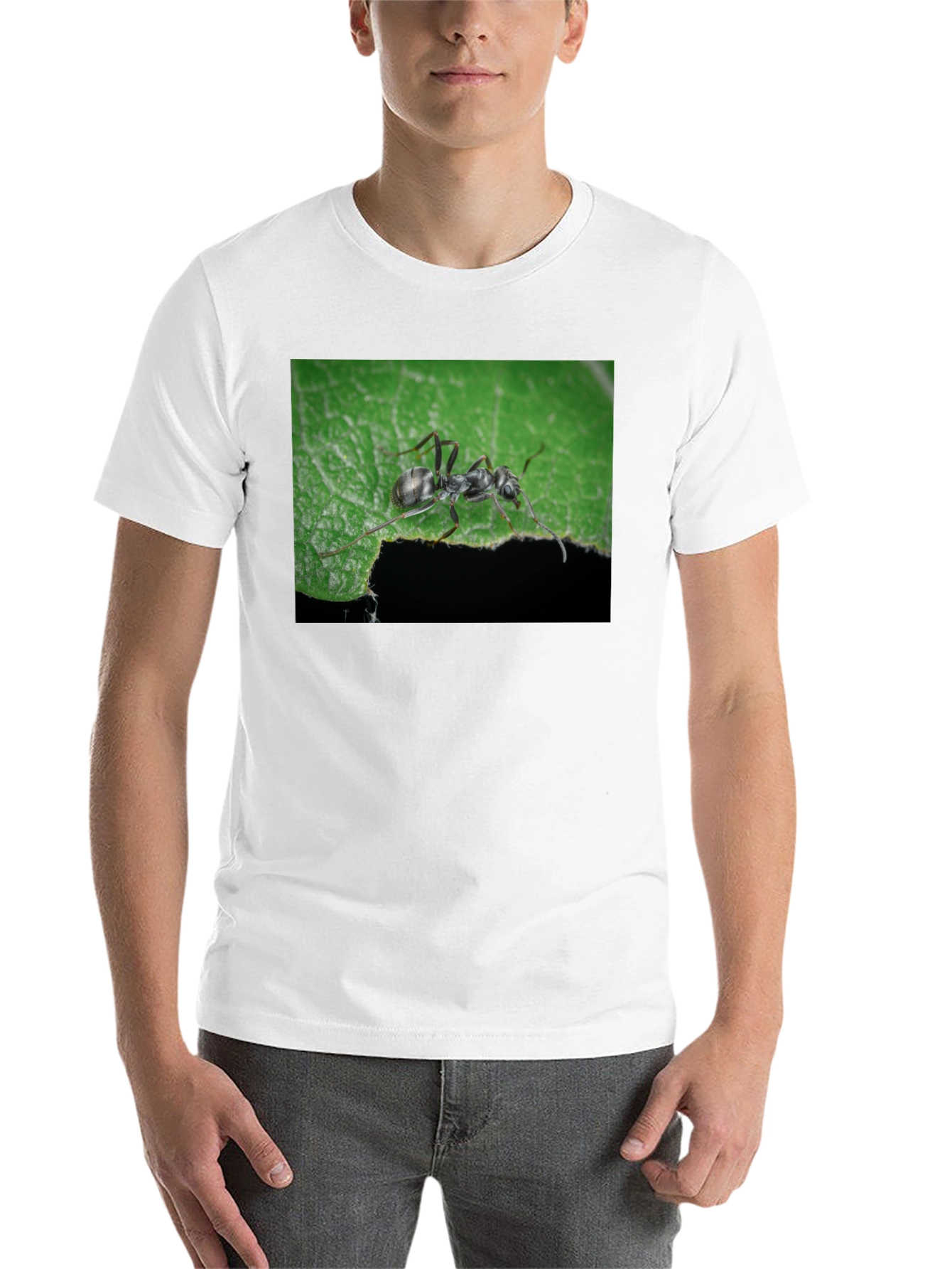 Black Ant on Leaf Graphic Tee - Nature Lover's T-Shirt view 14