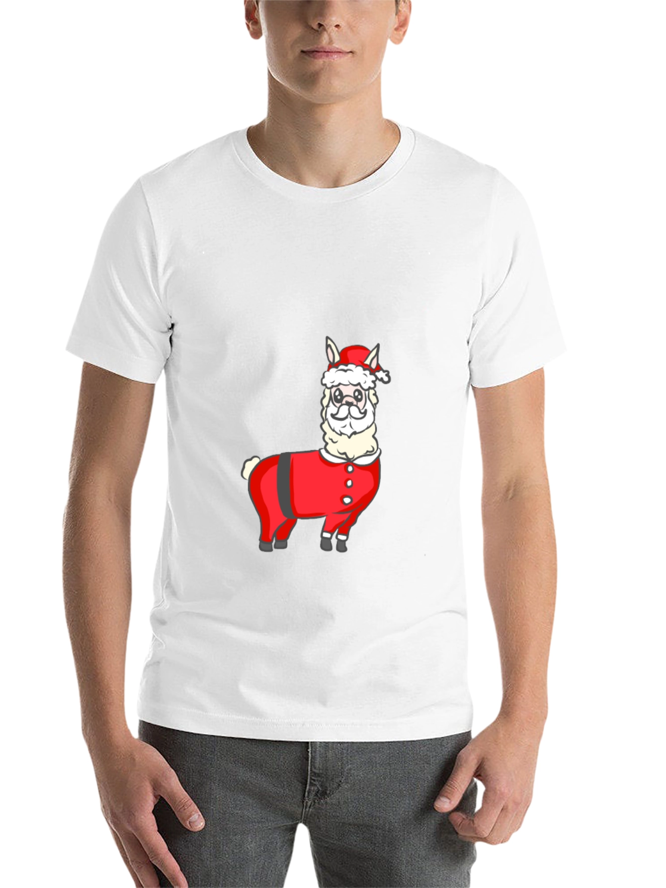 Santa Llama T-Shirt - Holiday Festive Wear - 14