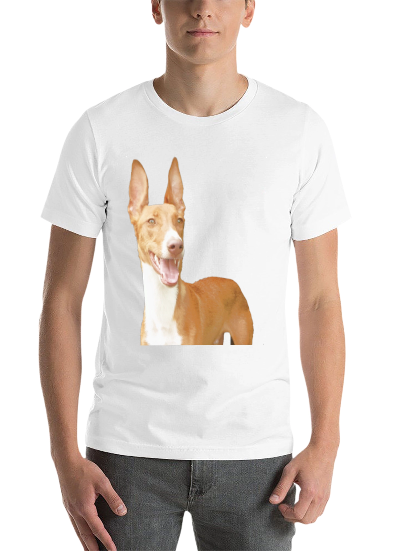 Black Dog Breed Graphic Tee - Ibizan Hound on Black Shirt view 14