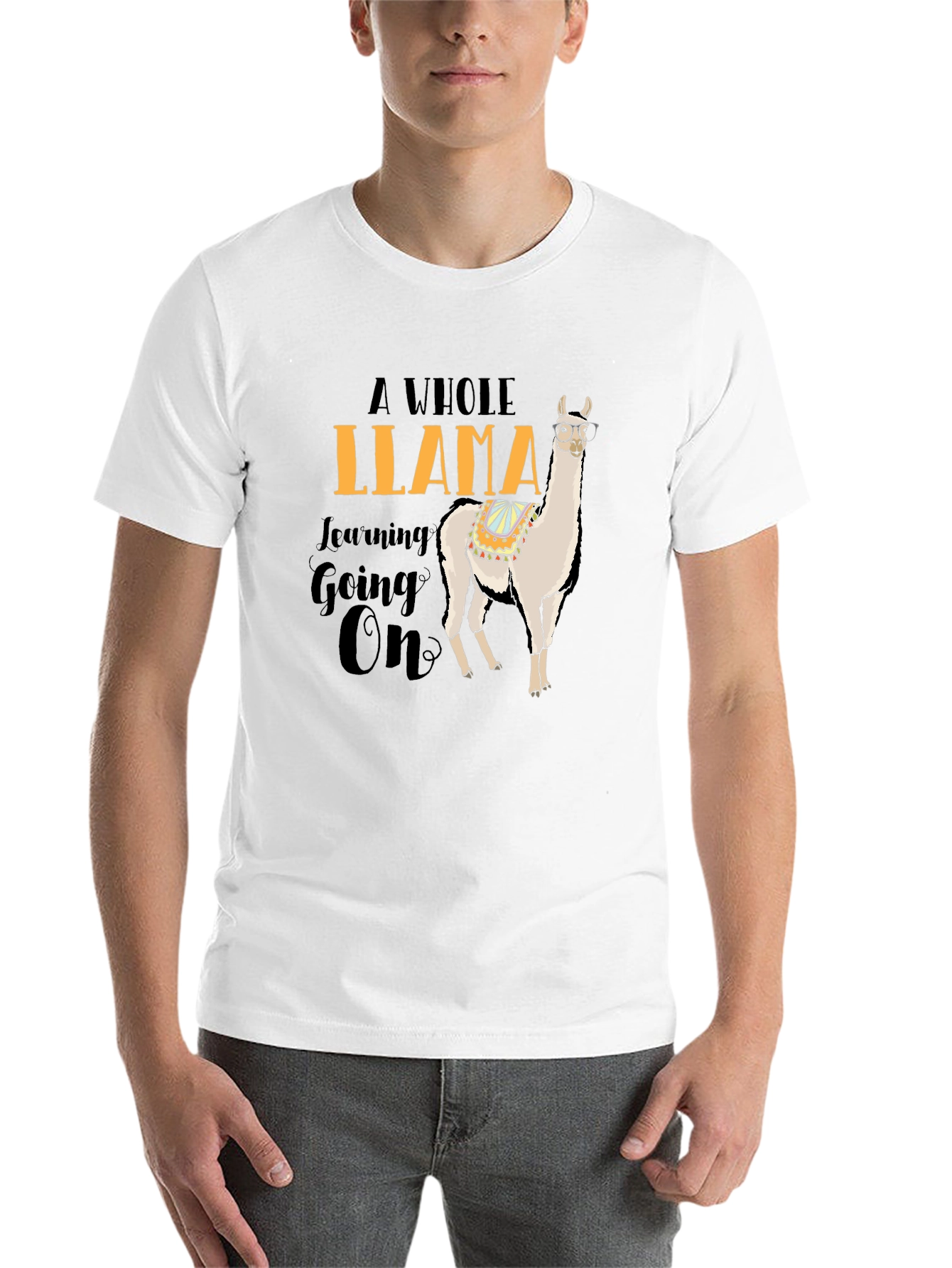 Black Funny Llama T-Shirt - A Whole Llama Learning Going On view 14