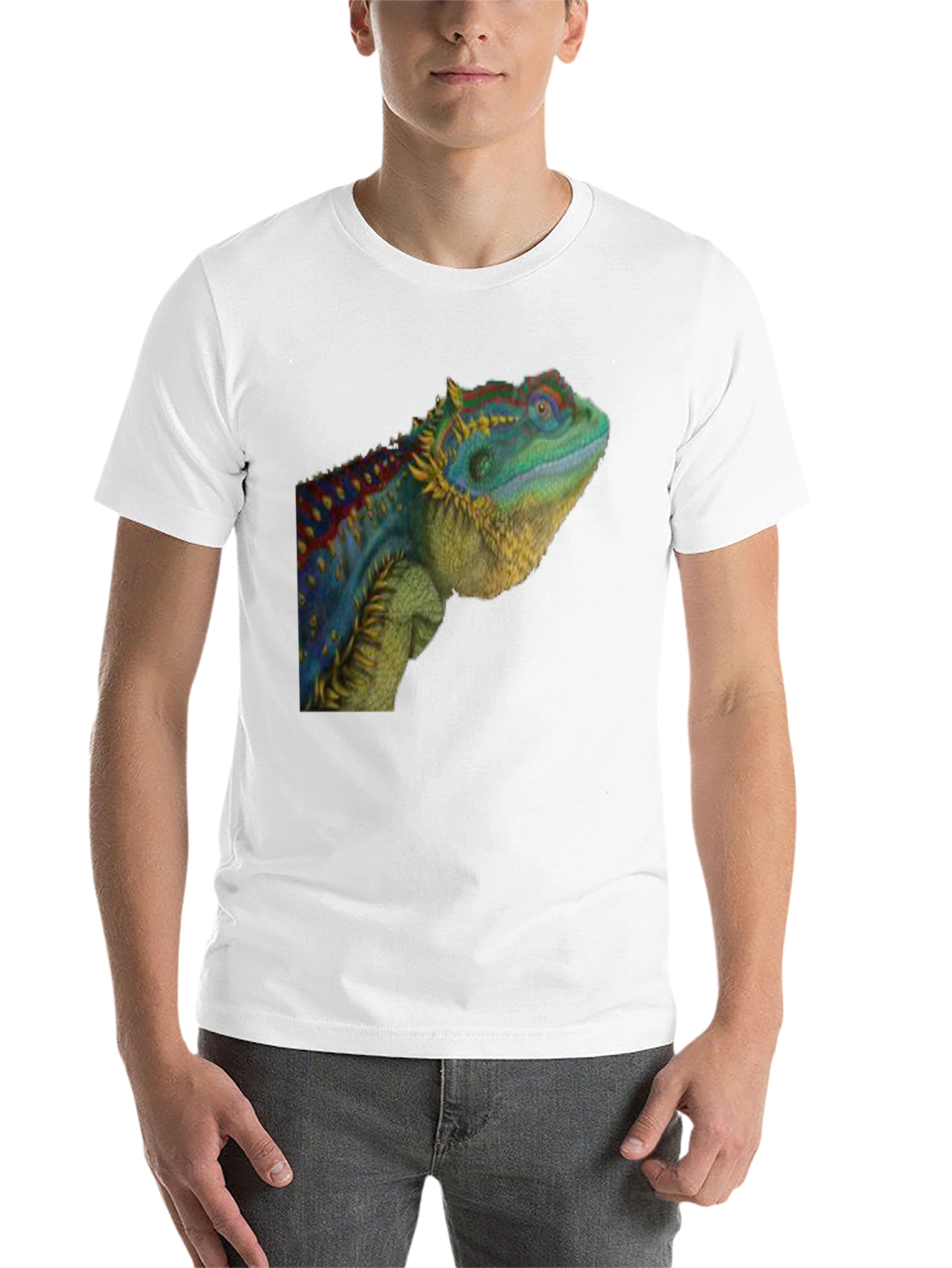 Black Lizard Graphic T-Shirt - Cool Reptile Tee view 14