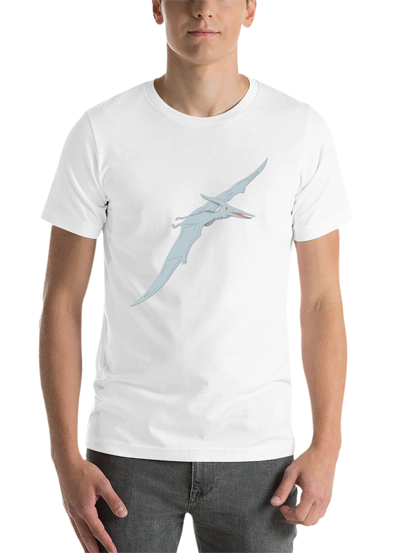Black Pterodactyl Graphic Tee - Black Cotton Shirt view 14