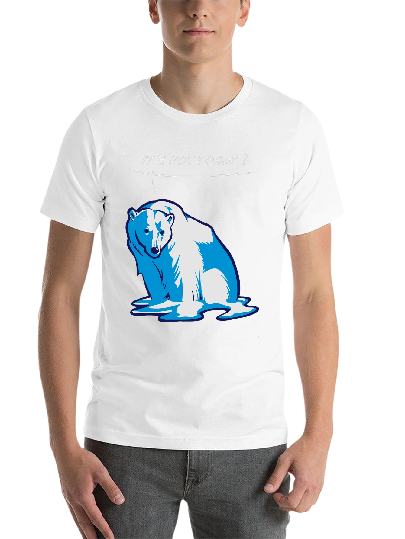 Black Funny "It's Hot Today!" Polar Bear Graphic T-Shirt view 14