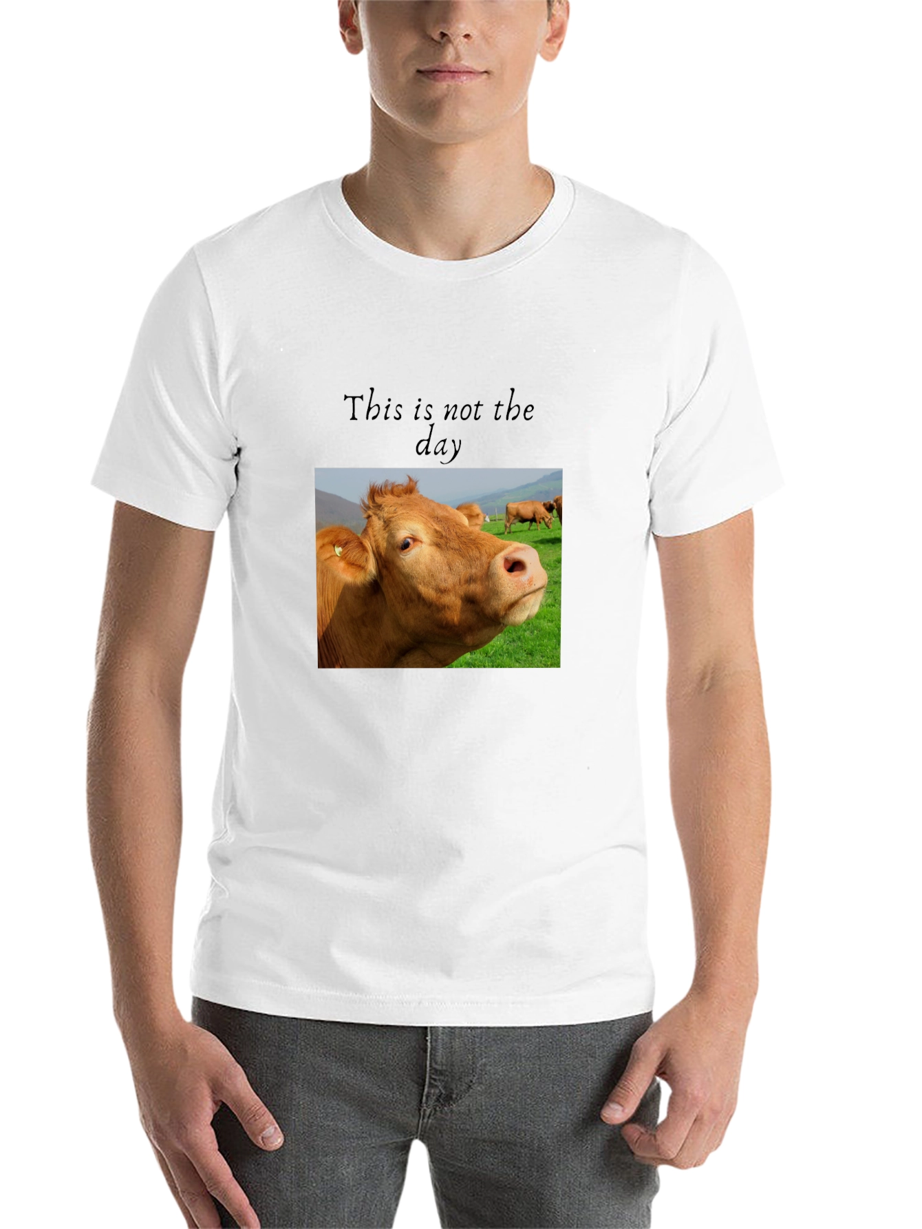 Black Cow Graphic T-Shirt - "This is not the day" view 14