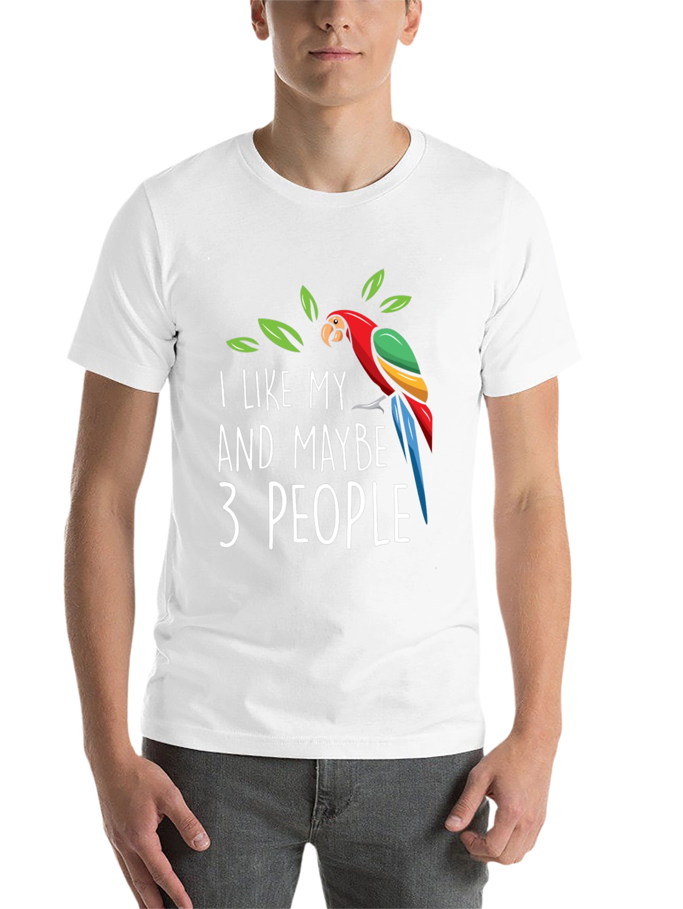 Black I Like My Parrot and Maybe 3 People - Graphic Tee view 14