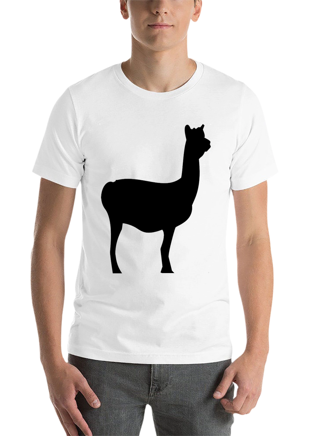 Black Men's Black T-Shirt with Alpaca Silhouette Graphic view 14