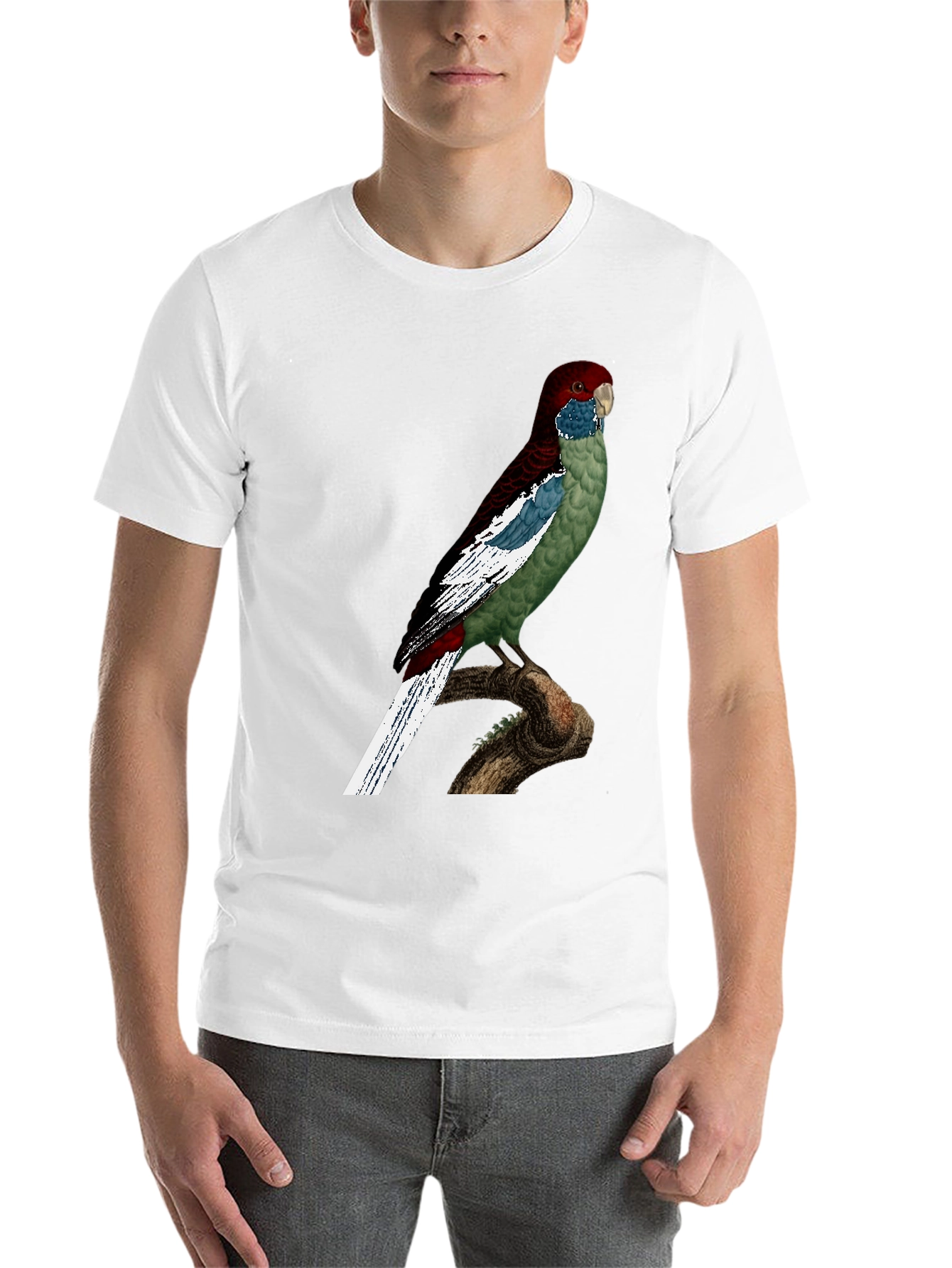 Black Parrot Graphic T-Shirt - Unique Bird Design view 14