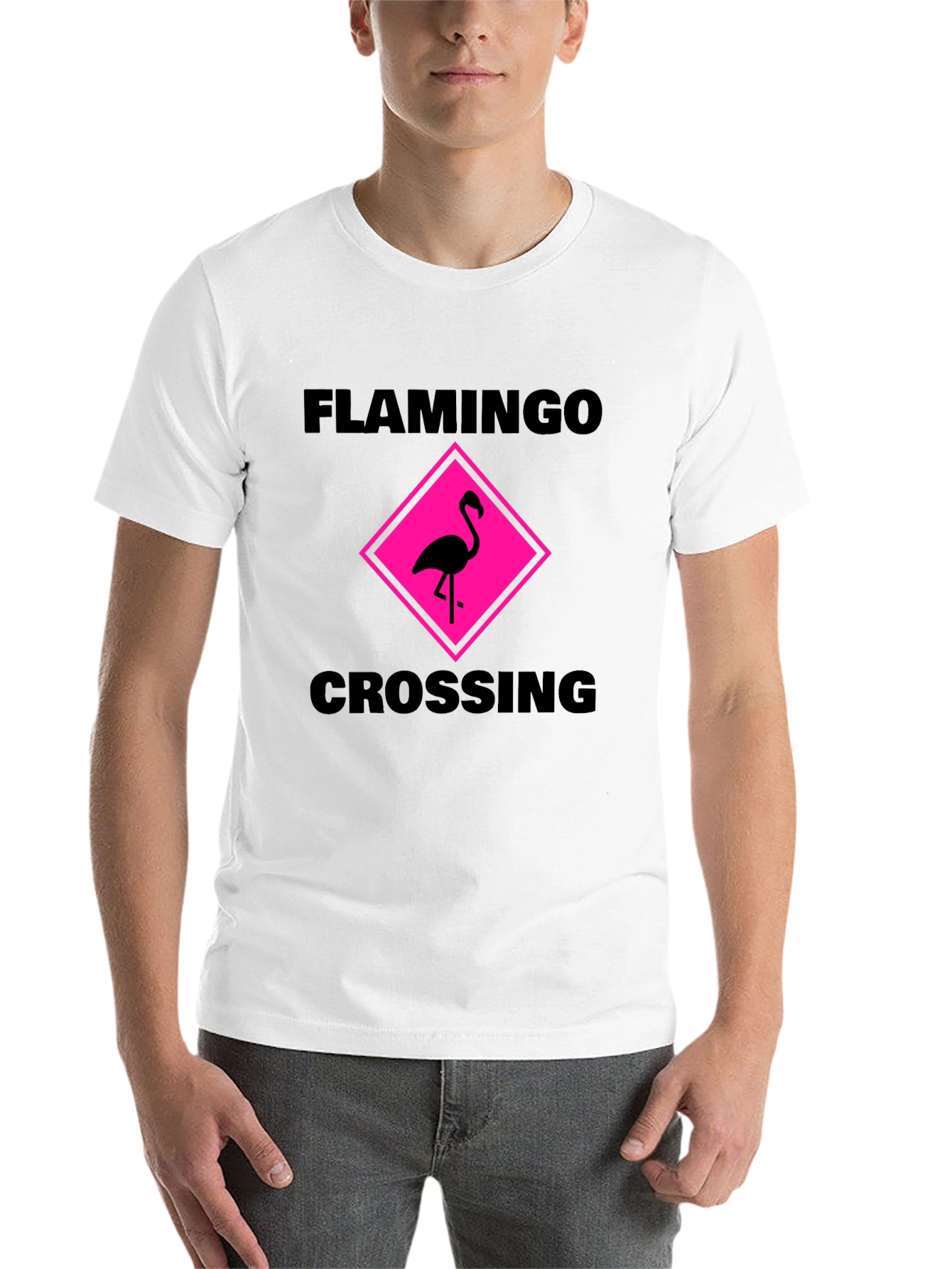 Black Flamingo Crossing Graphic Tee - Black Cotton Shirt view 14