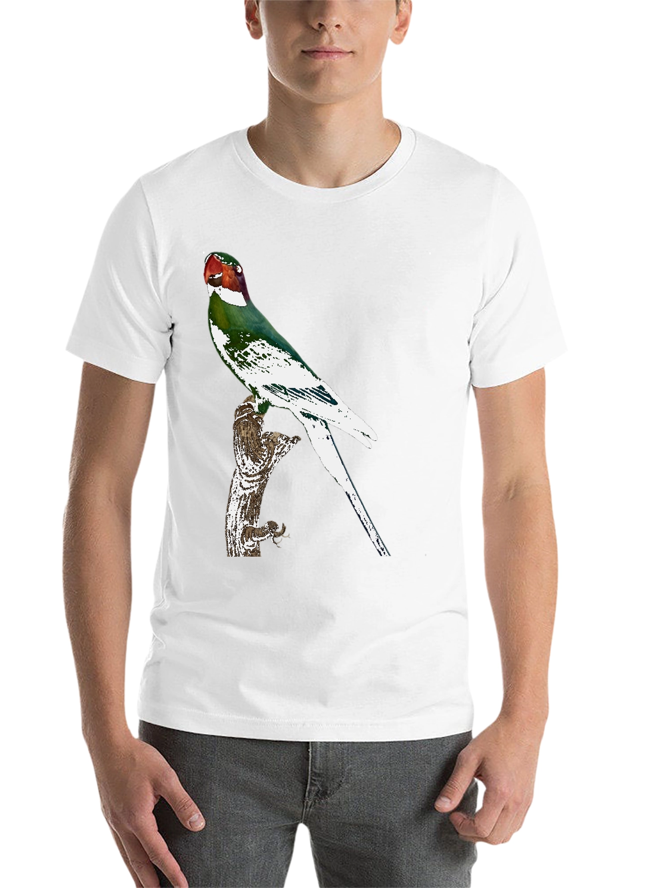 Black Parrot Graphic Tee - Black Cotton T-Shirt view 14