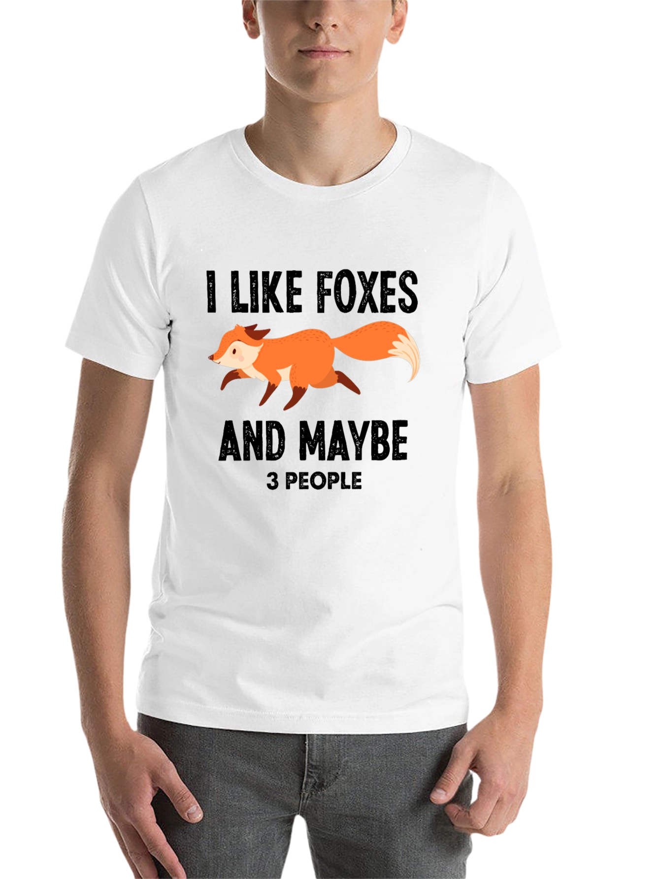 Black Funny Fox Lover Graphic T-Shirt - I Like Foxes and Maybe 3 People view 14