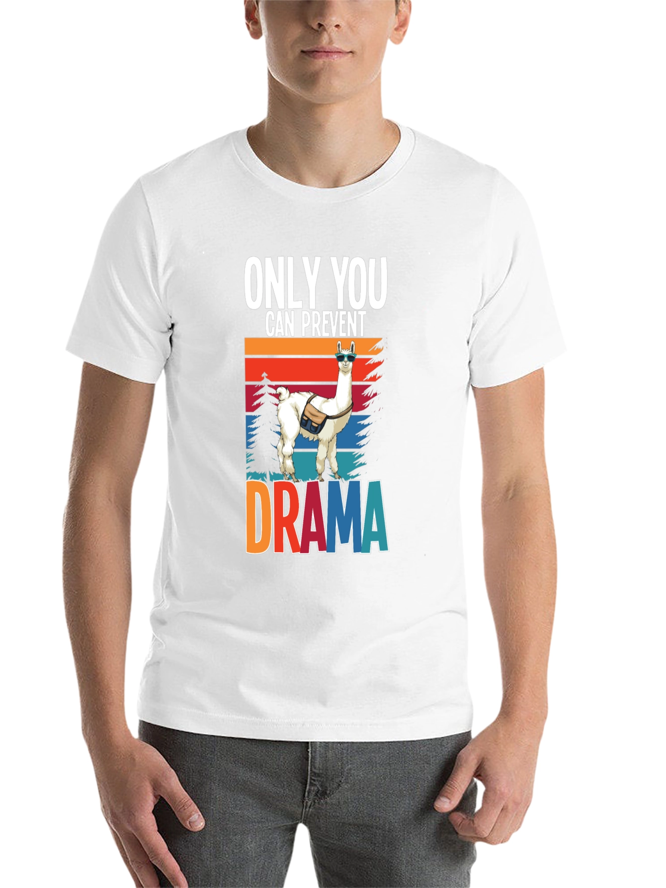 Black Only You Can Prevent Drama Llama Graphic Tee view 14