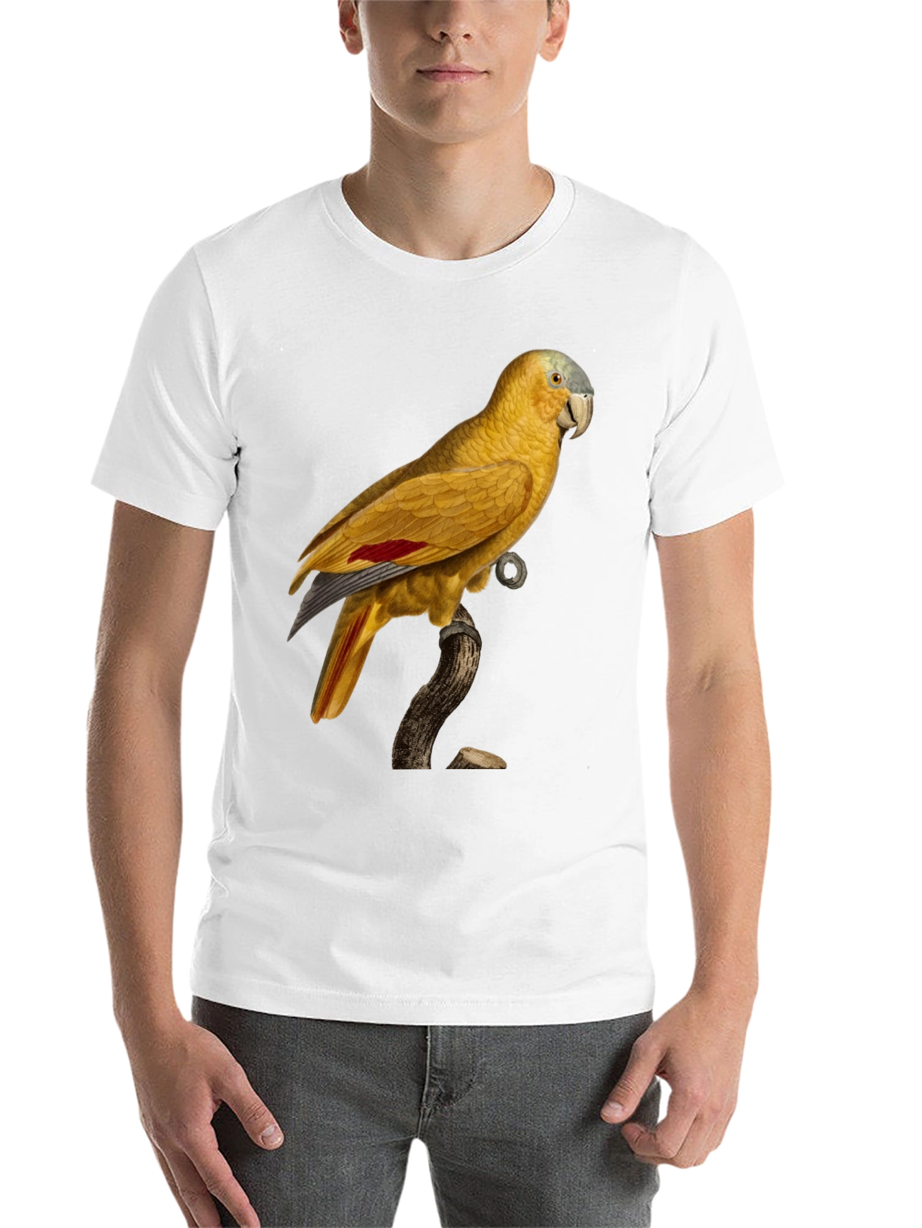 Black Parrot Graphic Black T-Shirt view 14