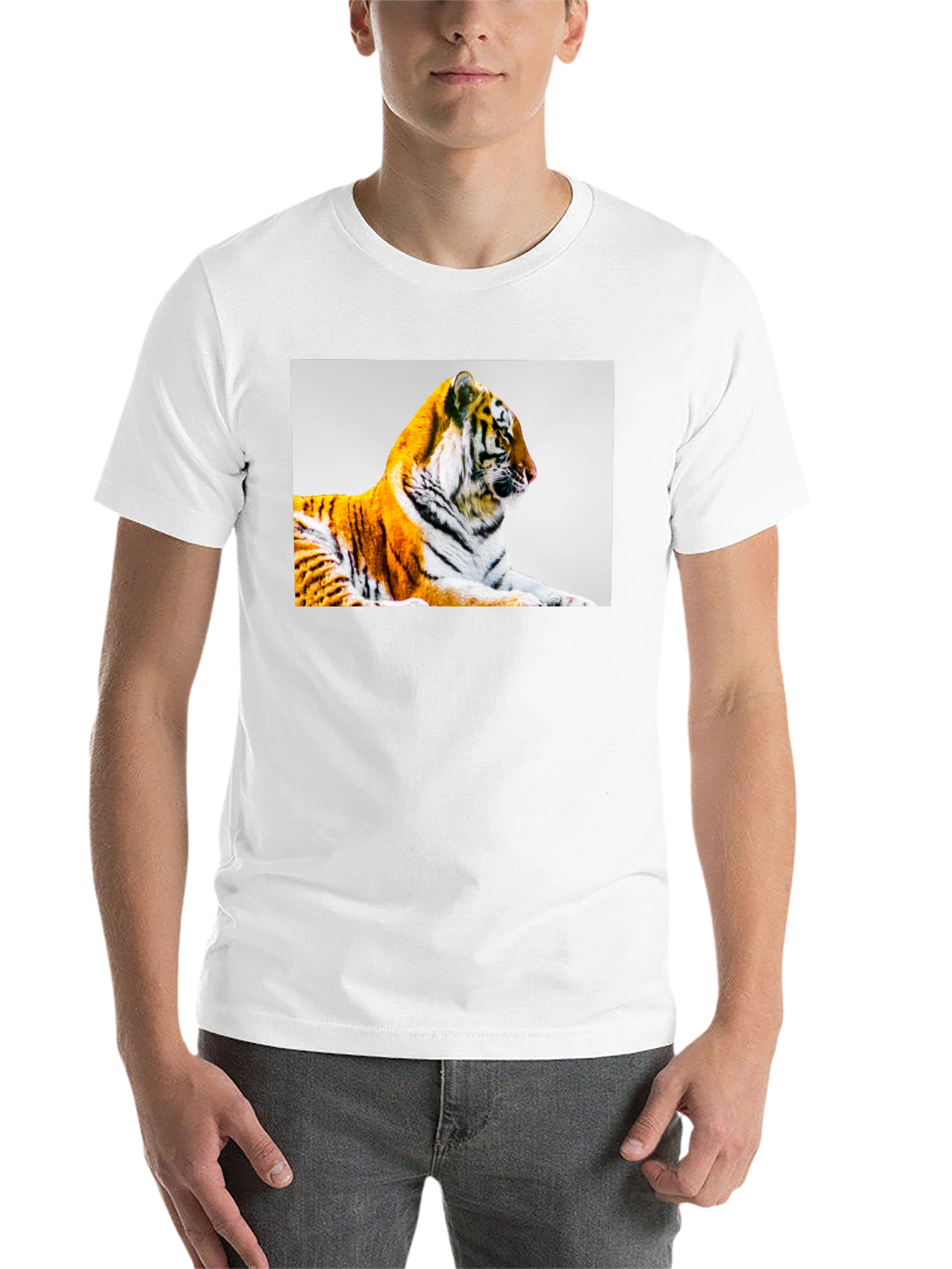Black Tiger Graphic Print Black T-Shirt view 14
