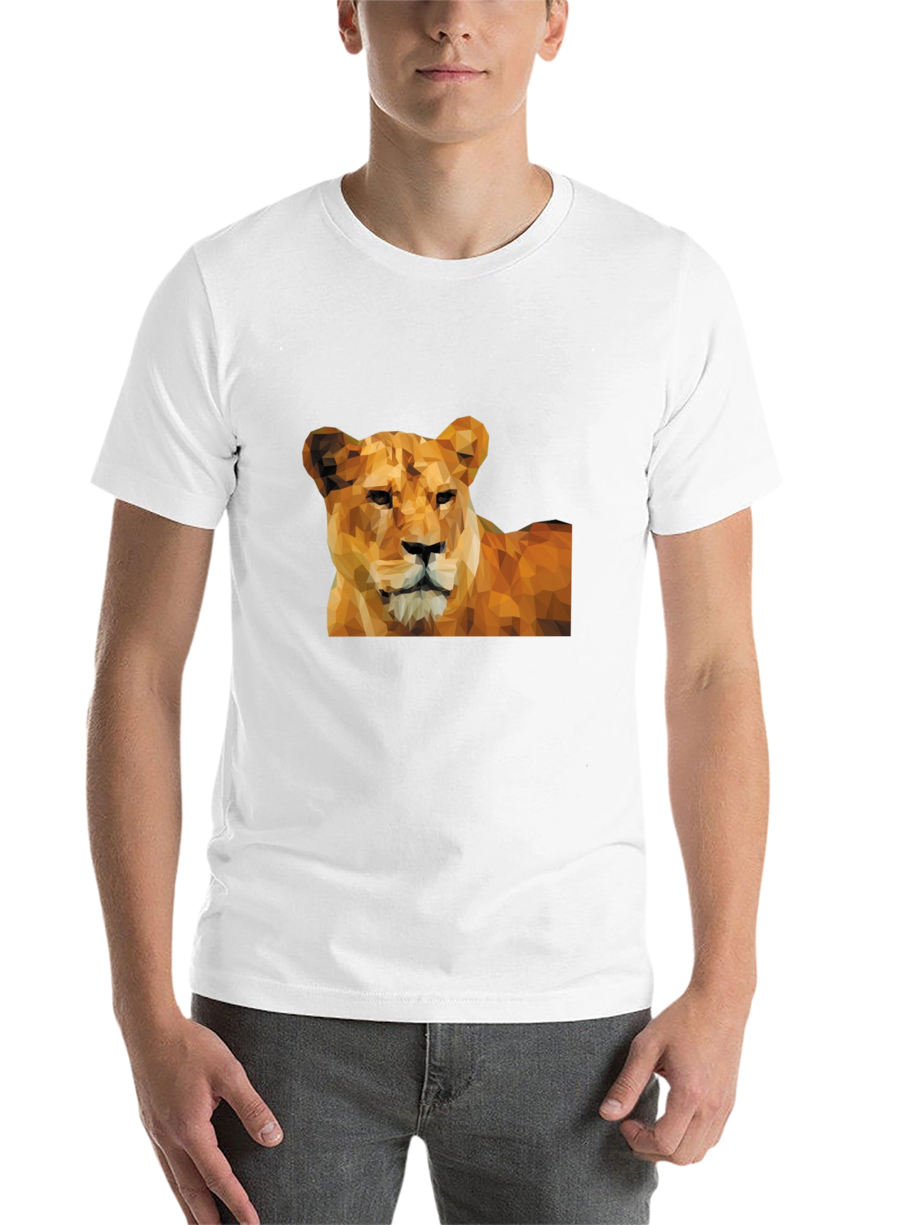 Black Lioness Graphic Print Black T-Shirt view 14