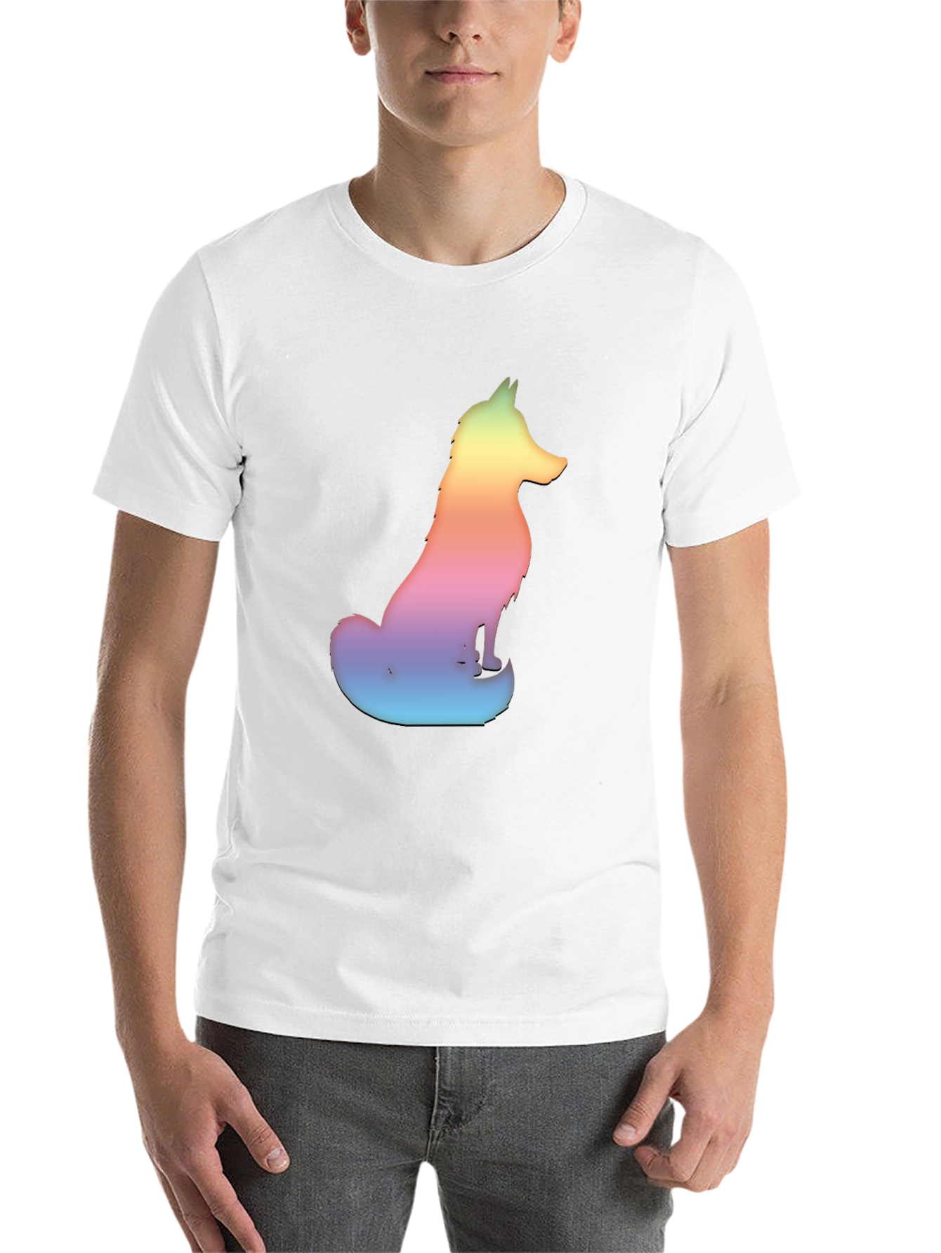 Black Rainbow Fox Graphic Tee - Men's Black T-Shirt view 14