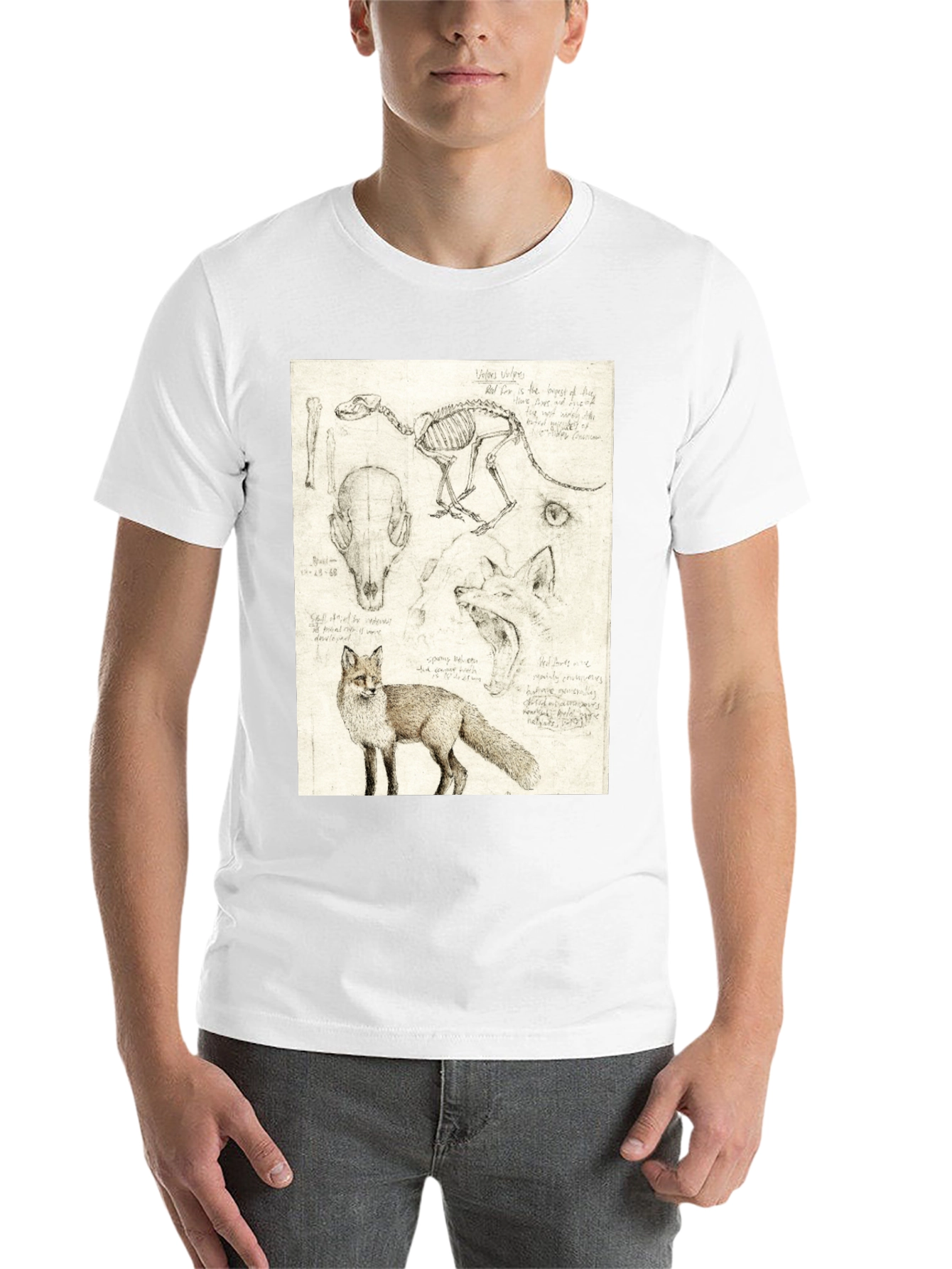 Black Anatomical Fox Print Tee - Artistic Unisex T-Shirt view 14