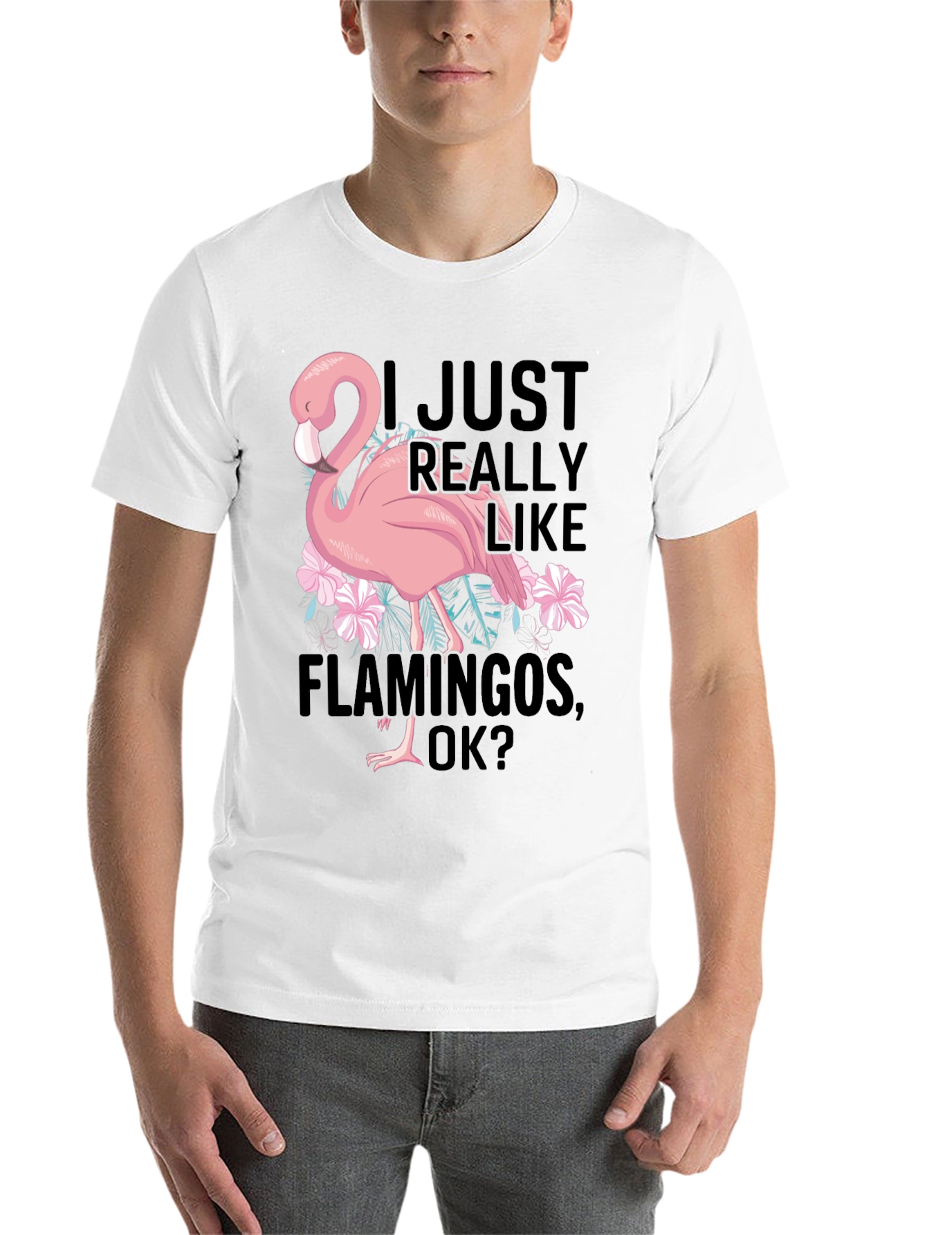 Black Funny Flamingo Graphic T-Shirt - I Just Really Like Flamingos view 14