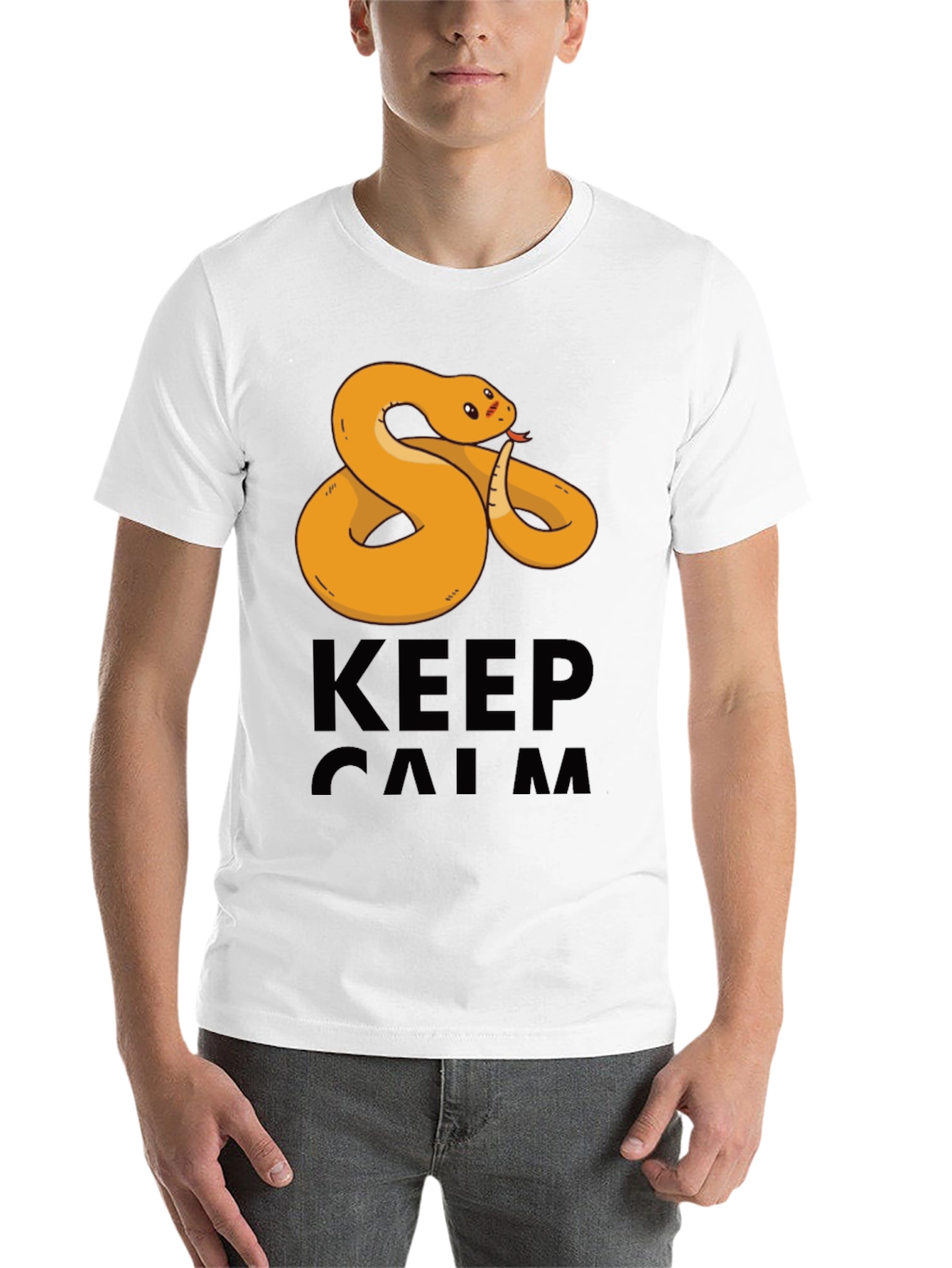 Black Funny Snake Keep Calm Men's T-Shirt view 14