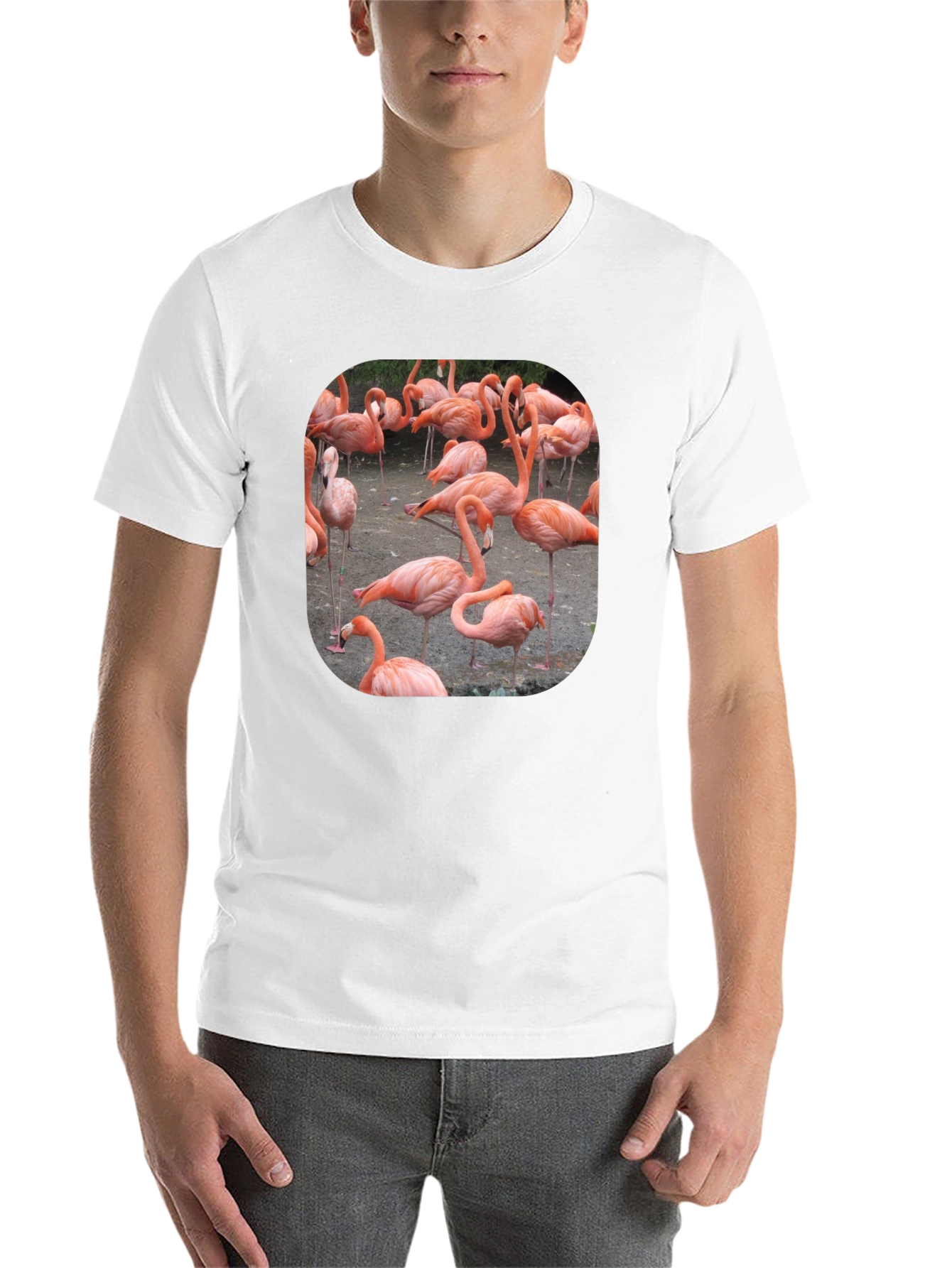 Black Flamingo Graphic Tee - Tropical Bird T-Shirt view 14
