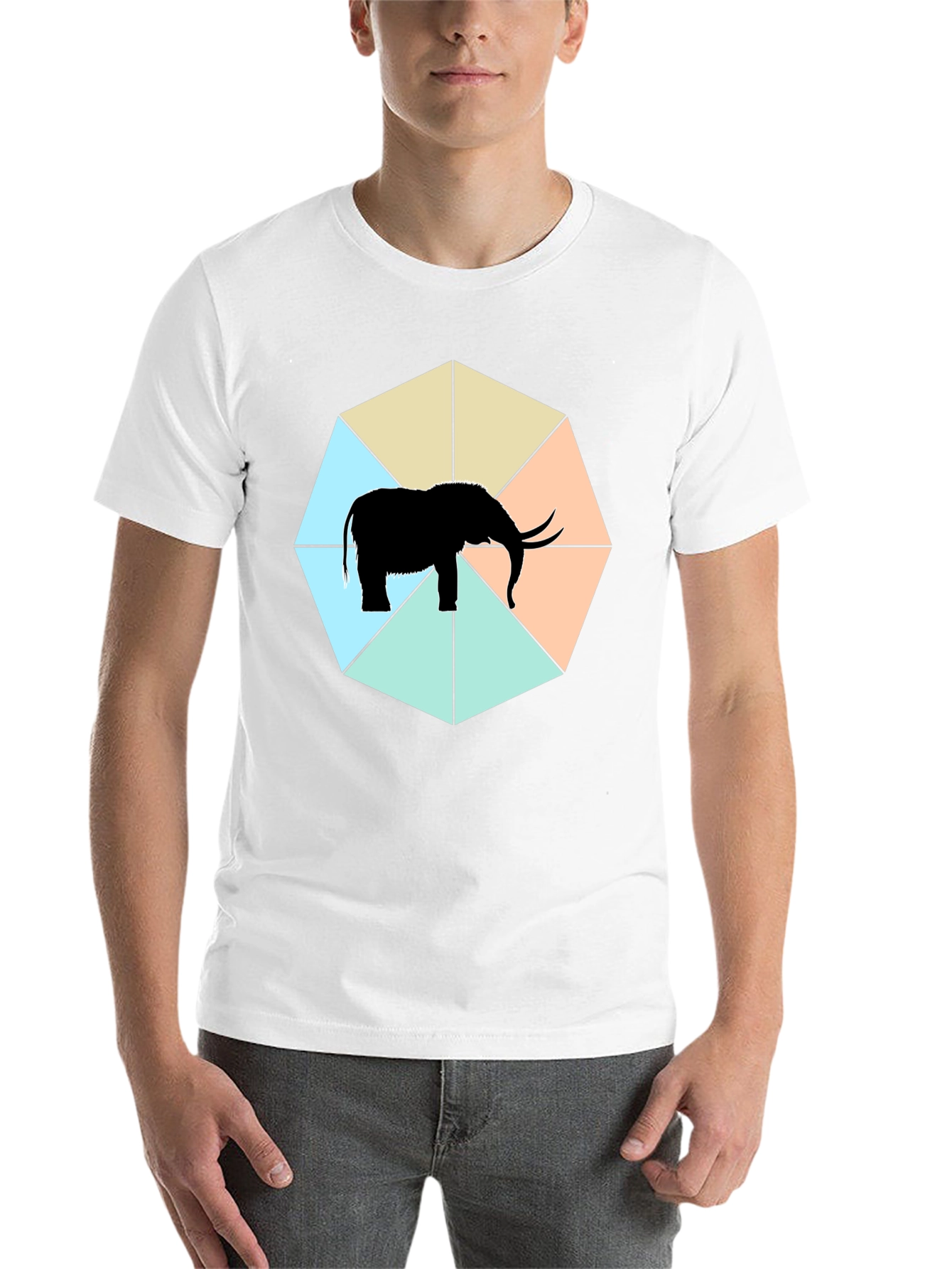 Black Elephant Octagon Graphic Tee - Stylish Men's Black T-Shirt view 14