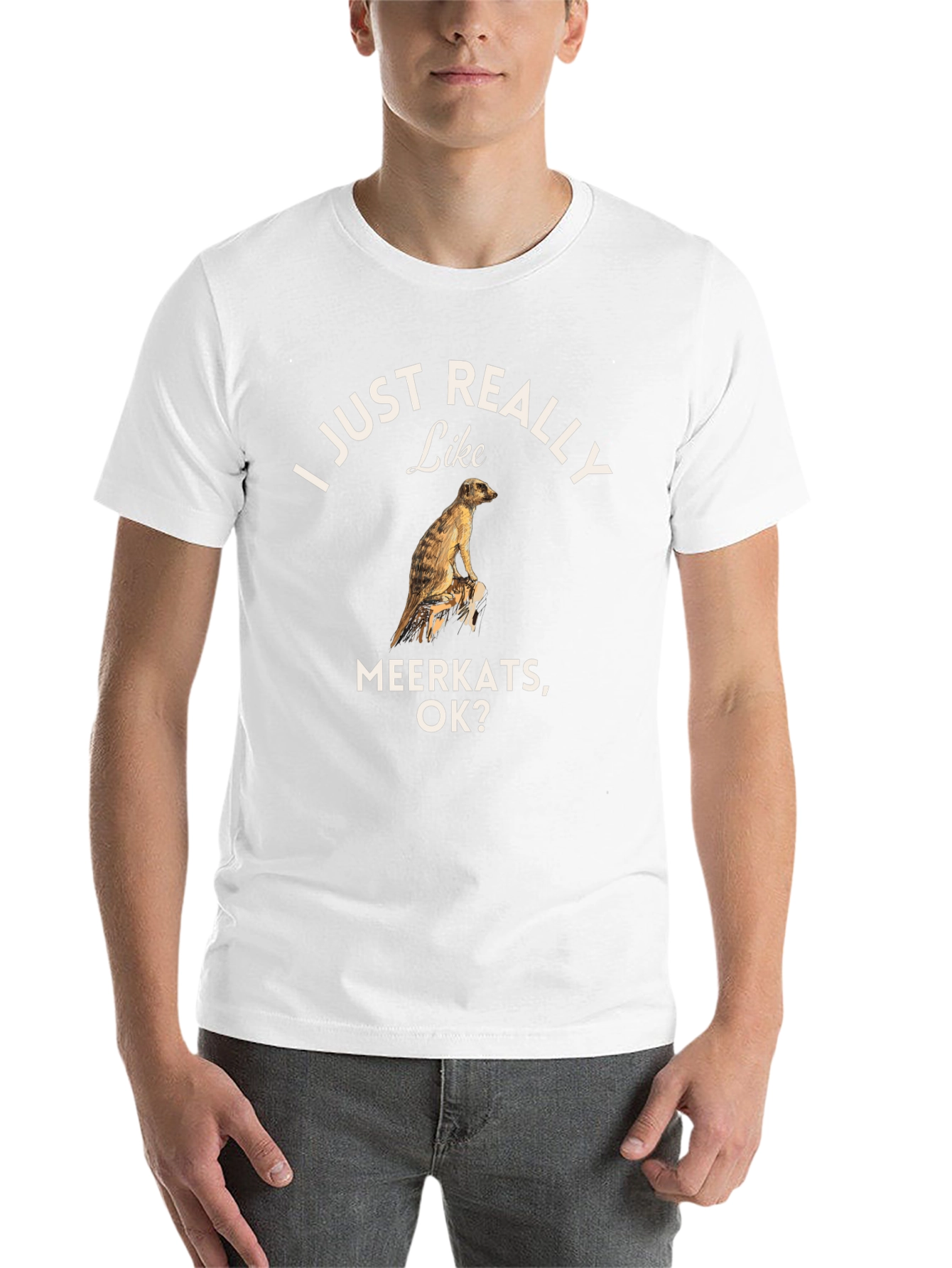 Black I Just Really Like Meerkats OK? T-Shirt view 14