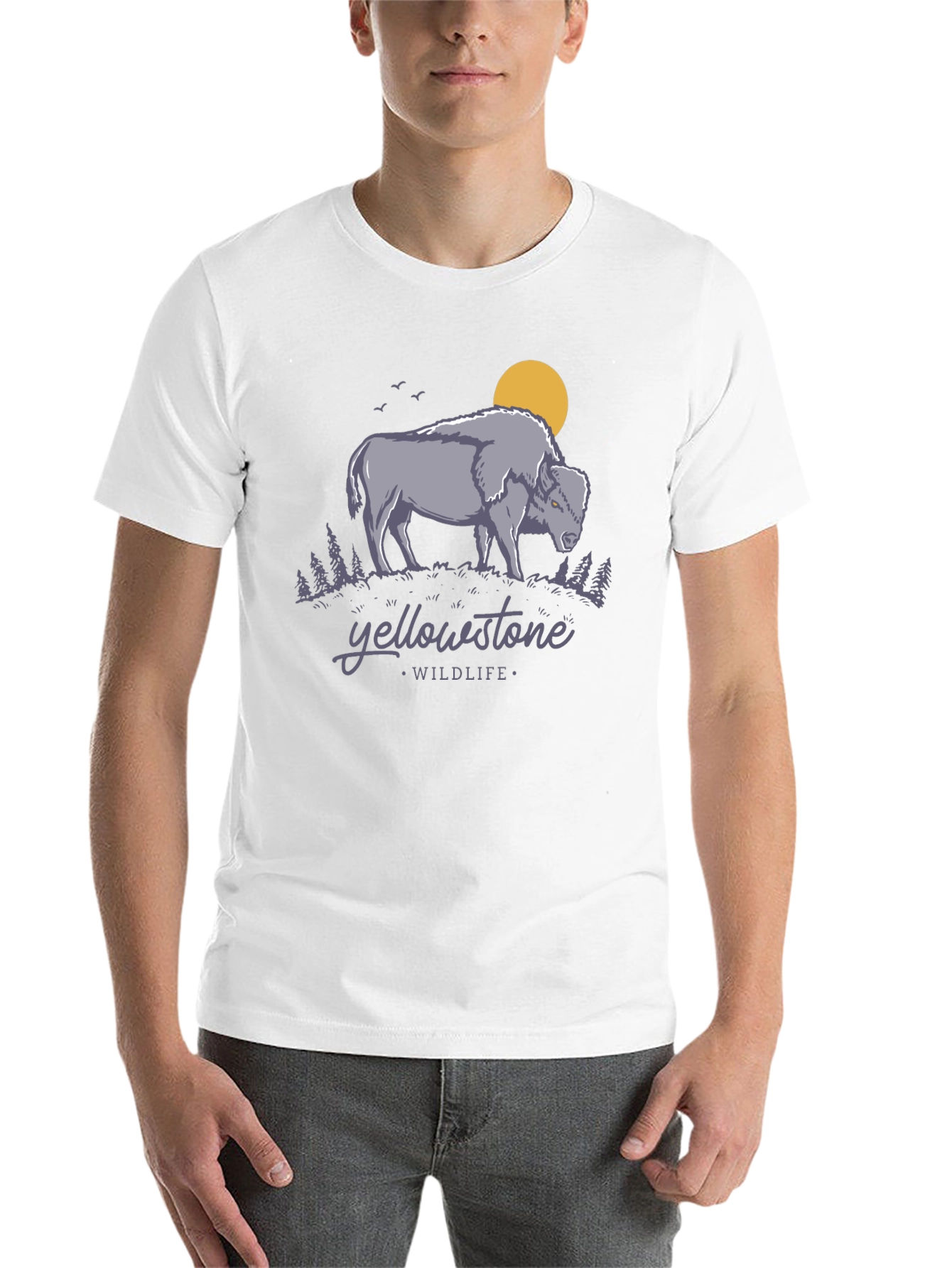 Black Yellowstone Wildlife Graphic Tee - Bison Design view 14