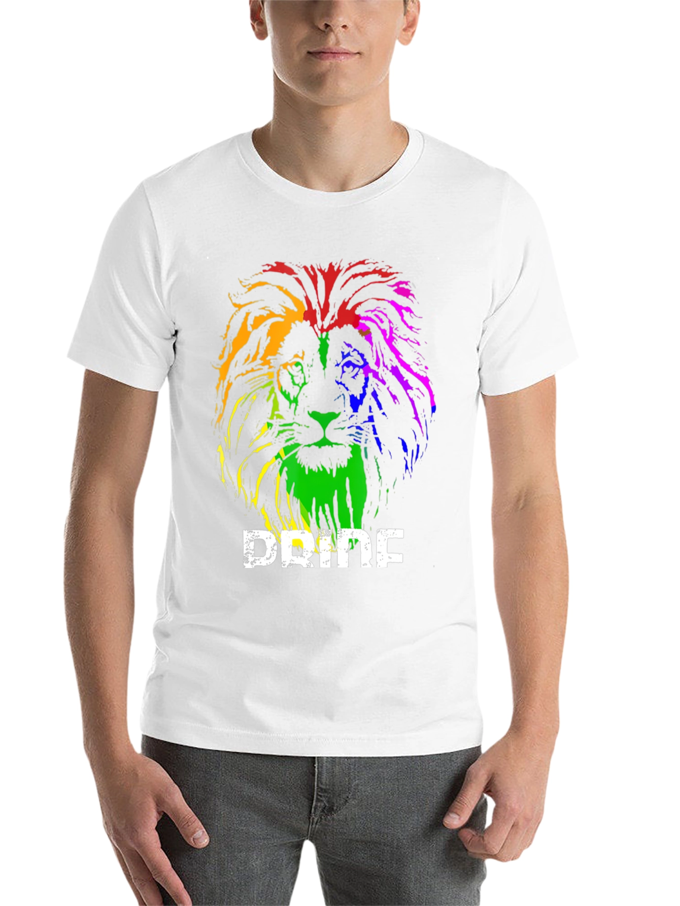 Black Rainbow Pride Lion Graphic T-Shirt view 14