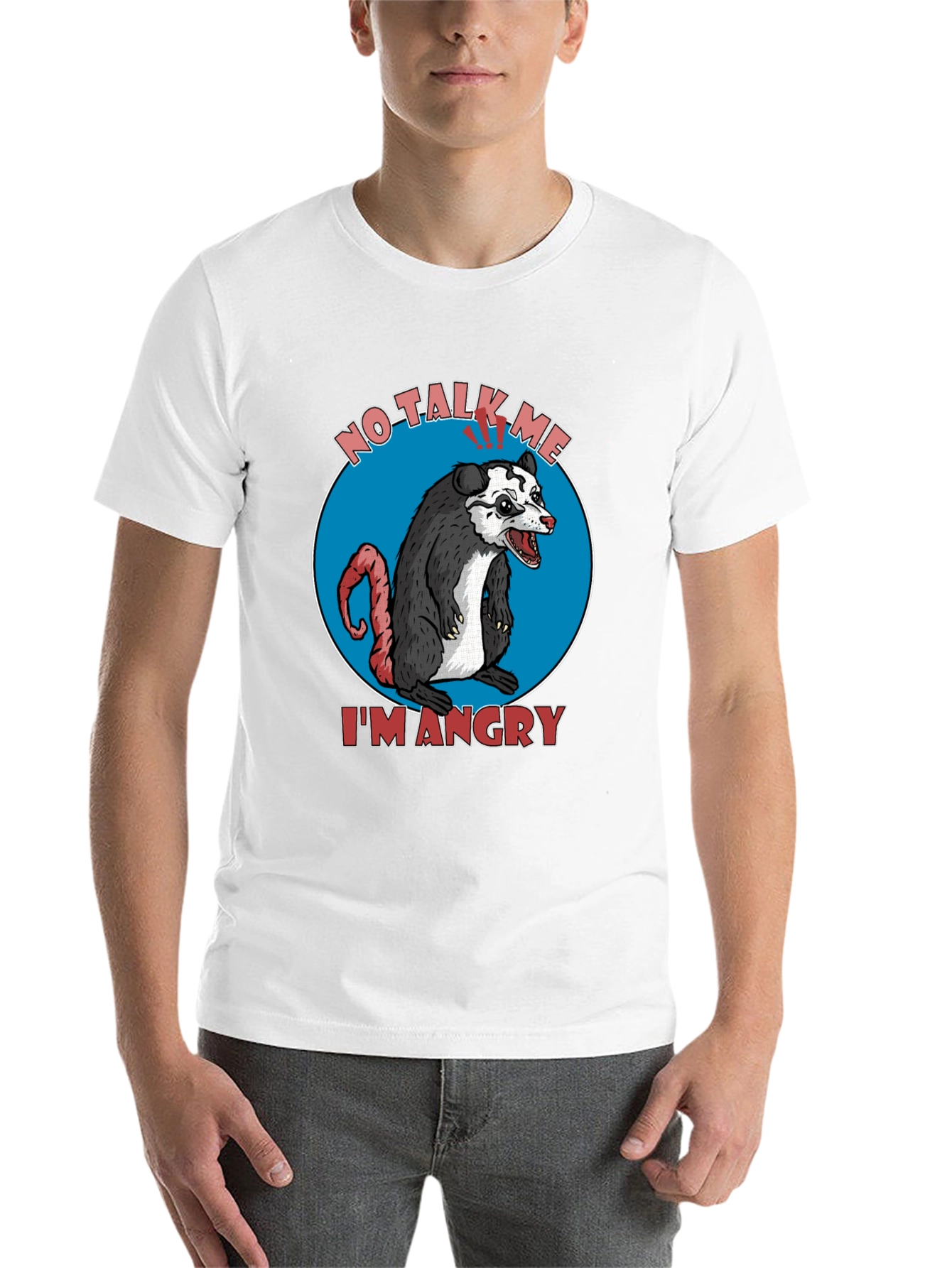 Black Angry Opossum Graphic Tee - No Talk Me I'm Angry! view 14