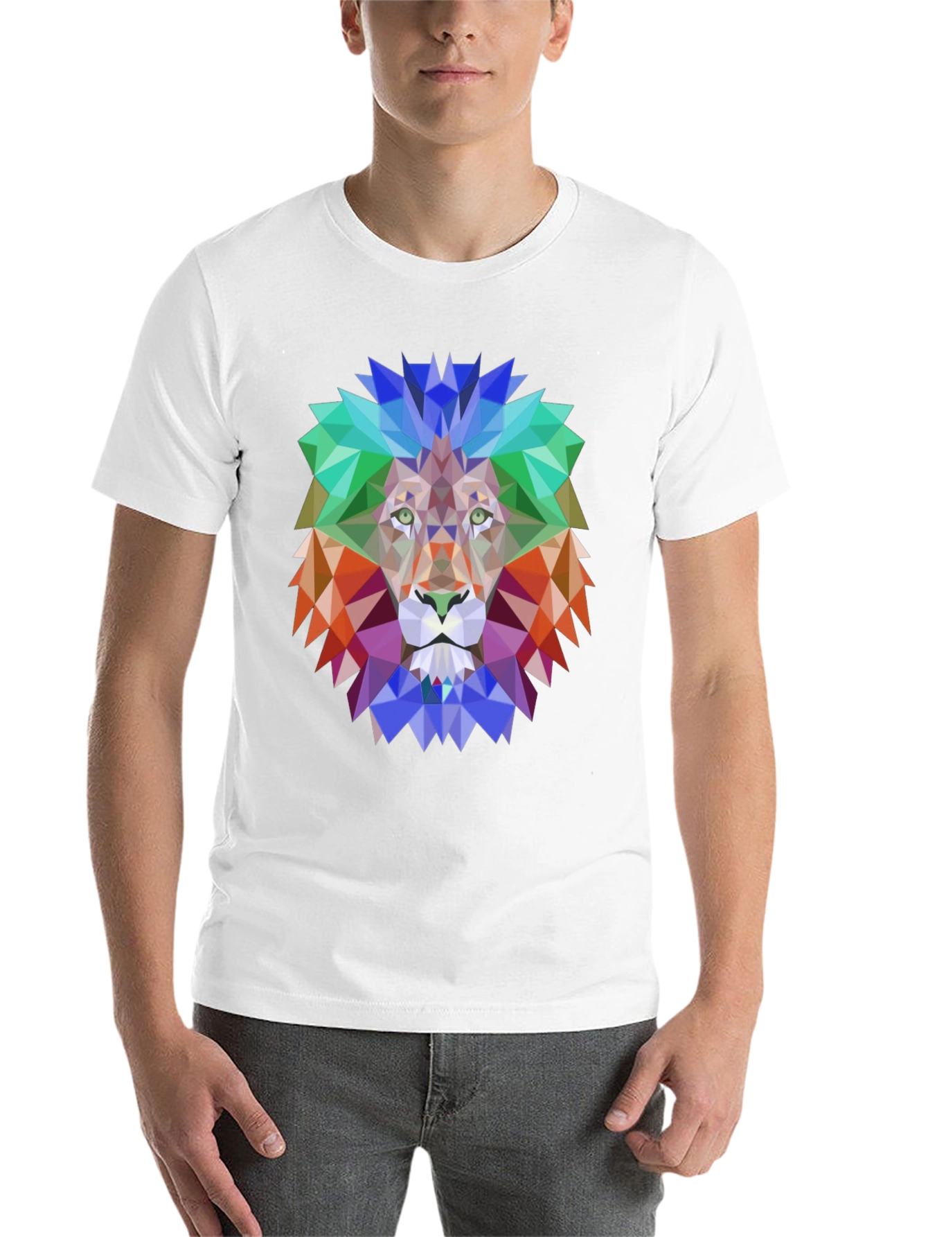 Black Geometric Lion Graphic Tee - Bold Design, Black Shirt view 14