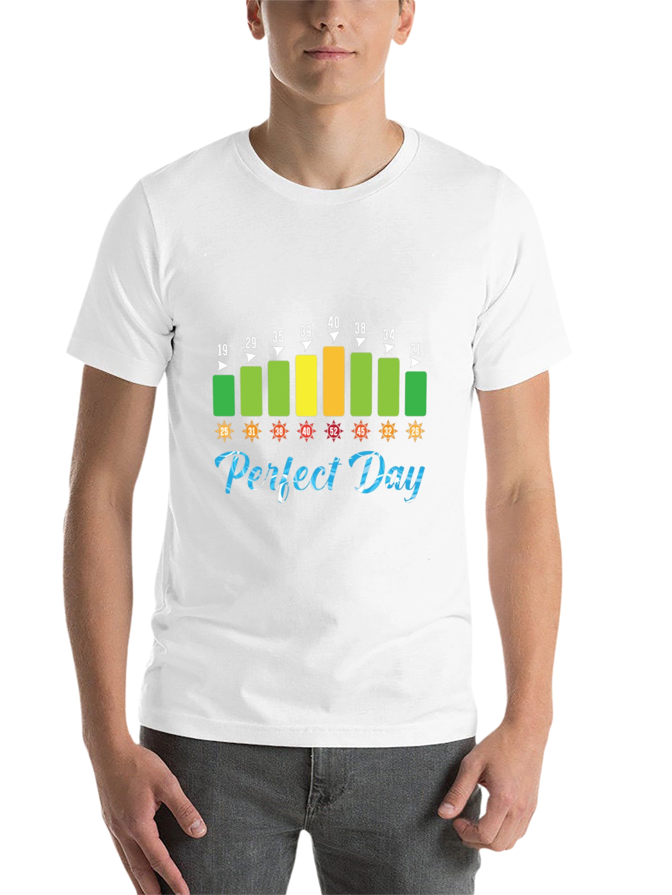 Black Perfect Day Temperature T-Shirt view 14