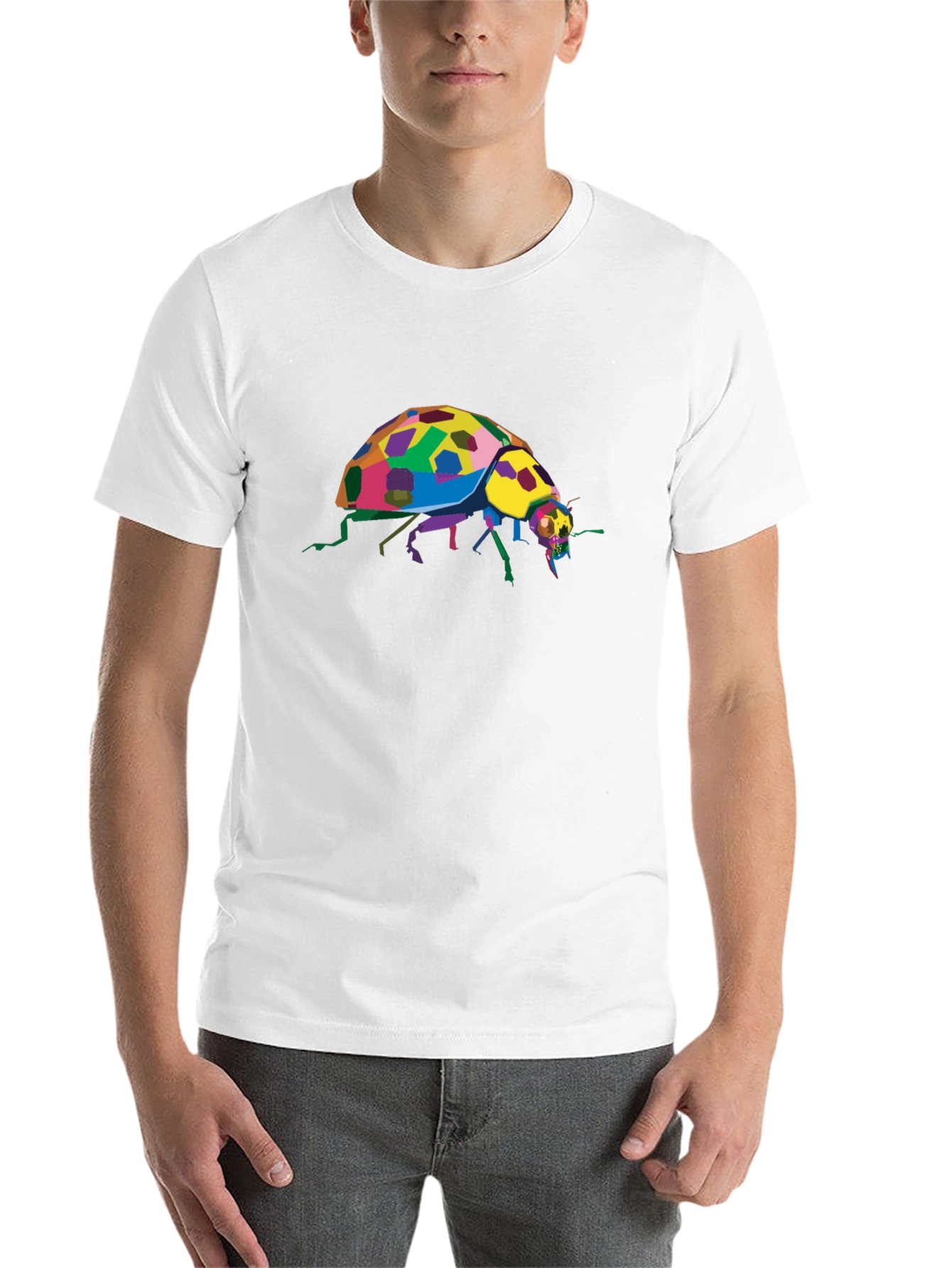 Black Colorful Ladybug Graphic Tee - Unique Insect Design view 14