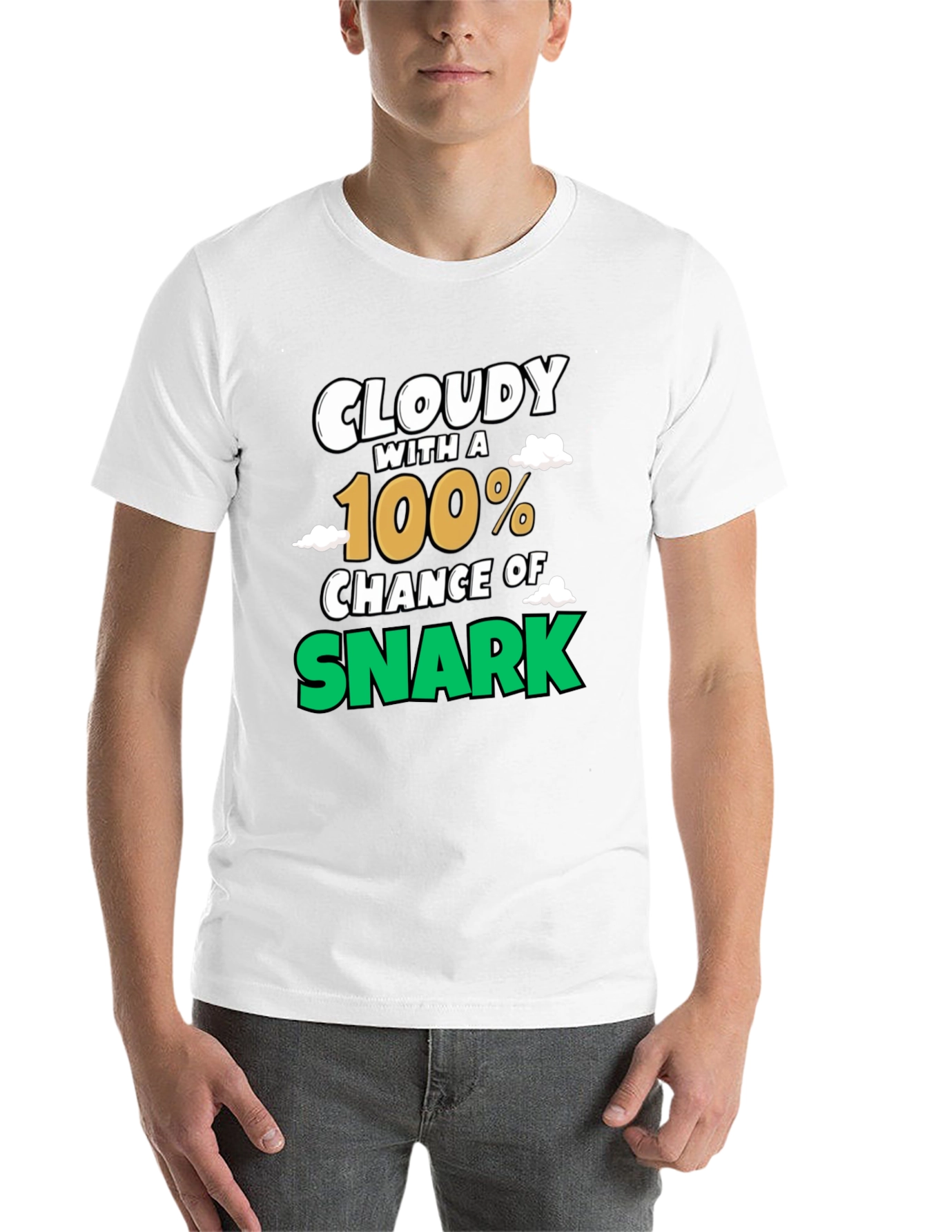 Black Cloudy with a 100% Chance of Snark Graphic Tee view 14