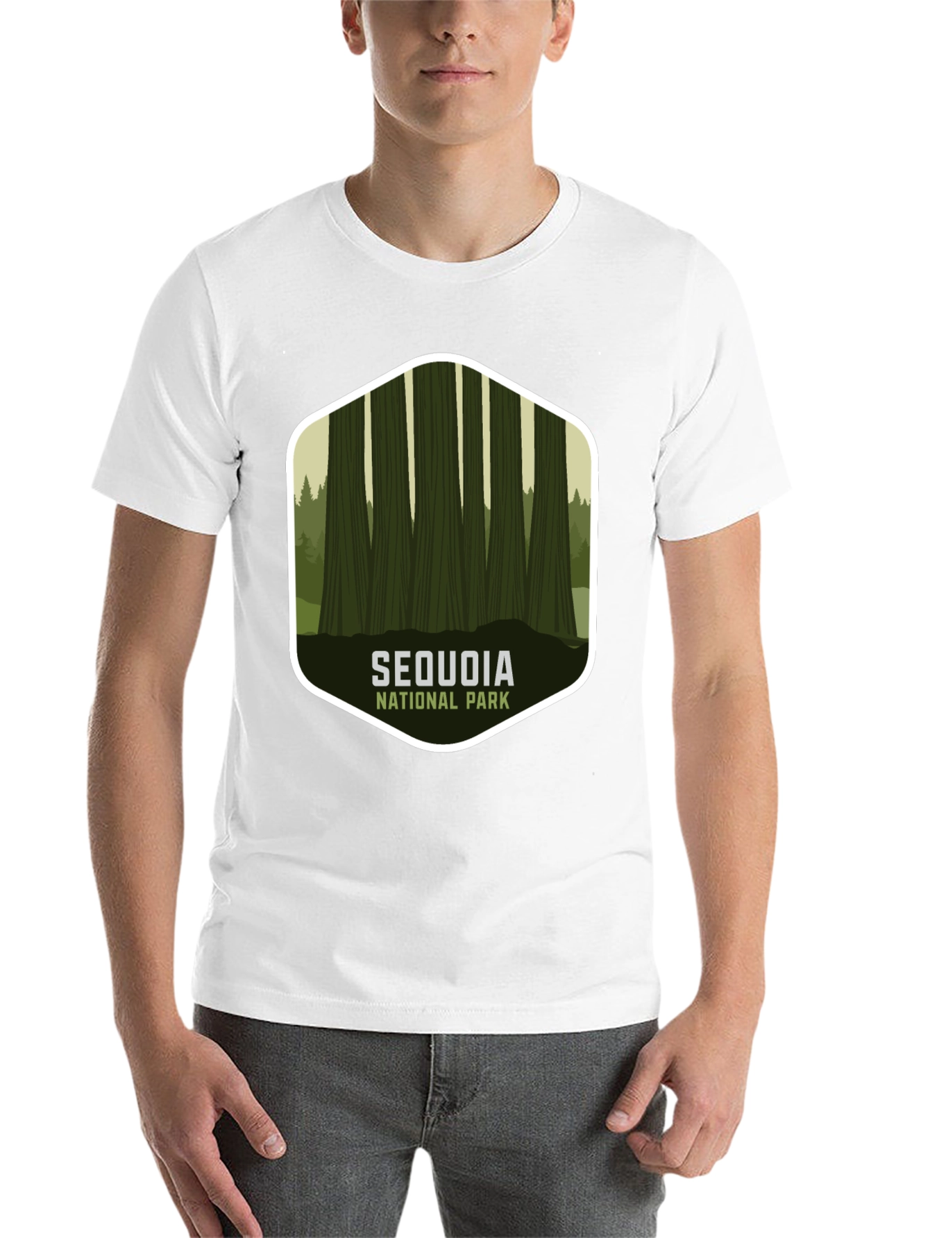 Black Sequoia National Park Graphic Tee - Black view 14