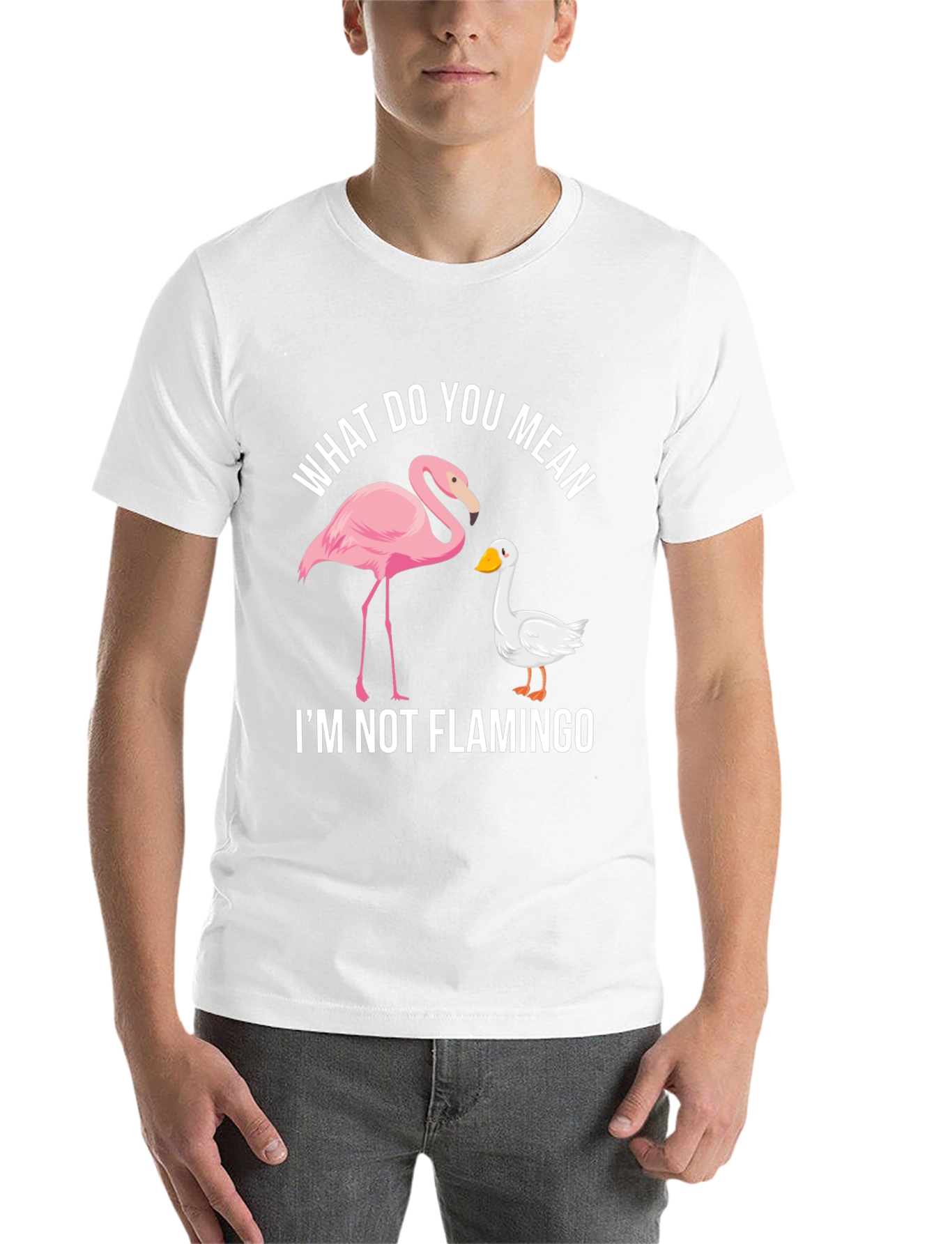 Black Funny "I'm Not Flamingo" Graphic Tee view 14