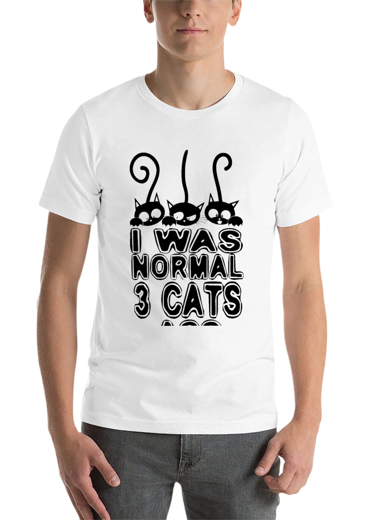 Black I Was Normal 3 Cats Ago Black T-Shirt view 14
