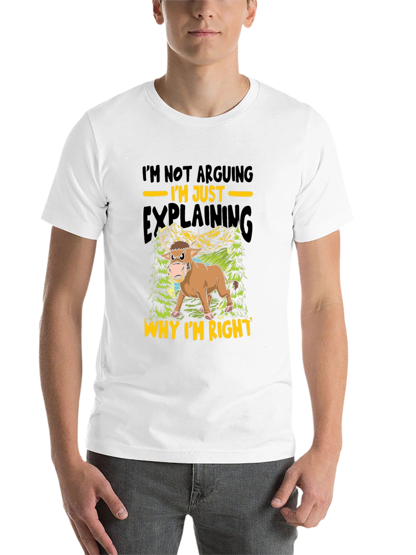 Black Funny Bull T-Shirt - I'm Not Arguing, I'm Just Explaining! view 14
